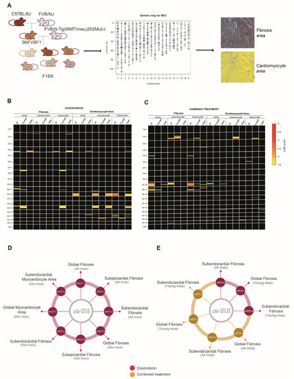 【　ｉｄ】 Intermediate Molecular Phenotypes to Identify Genetic