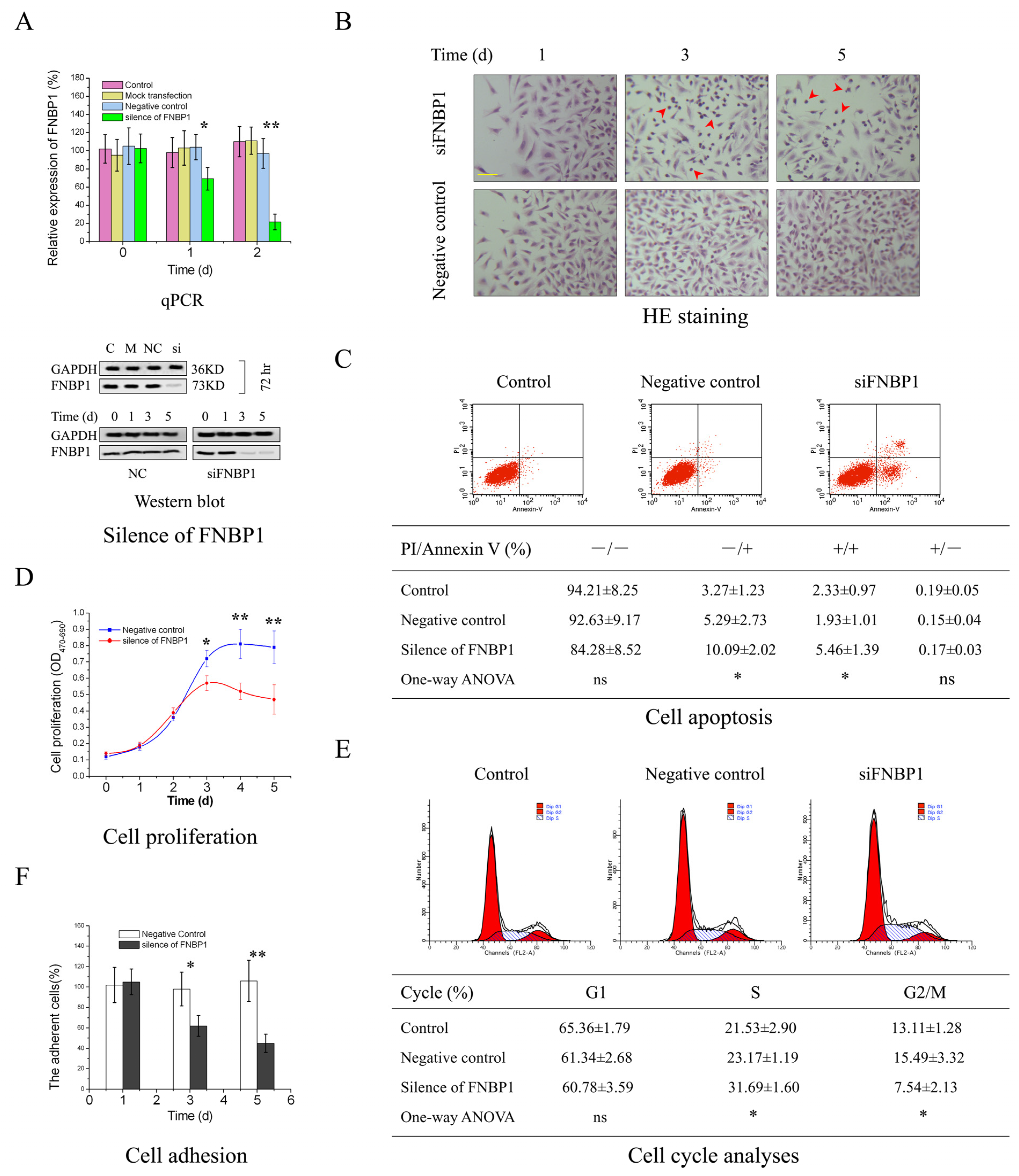 Cells 12 01964 g001 Cells 12 01964 g001