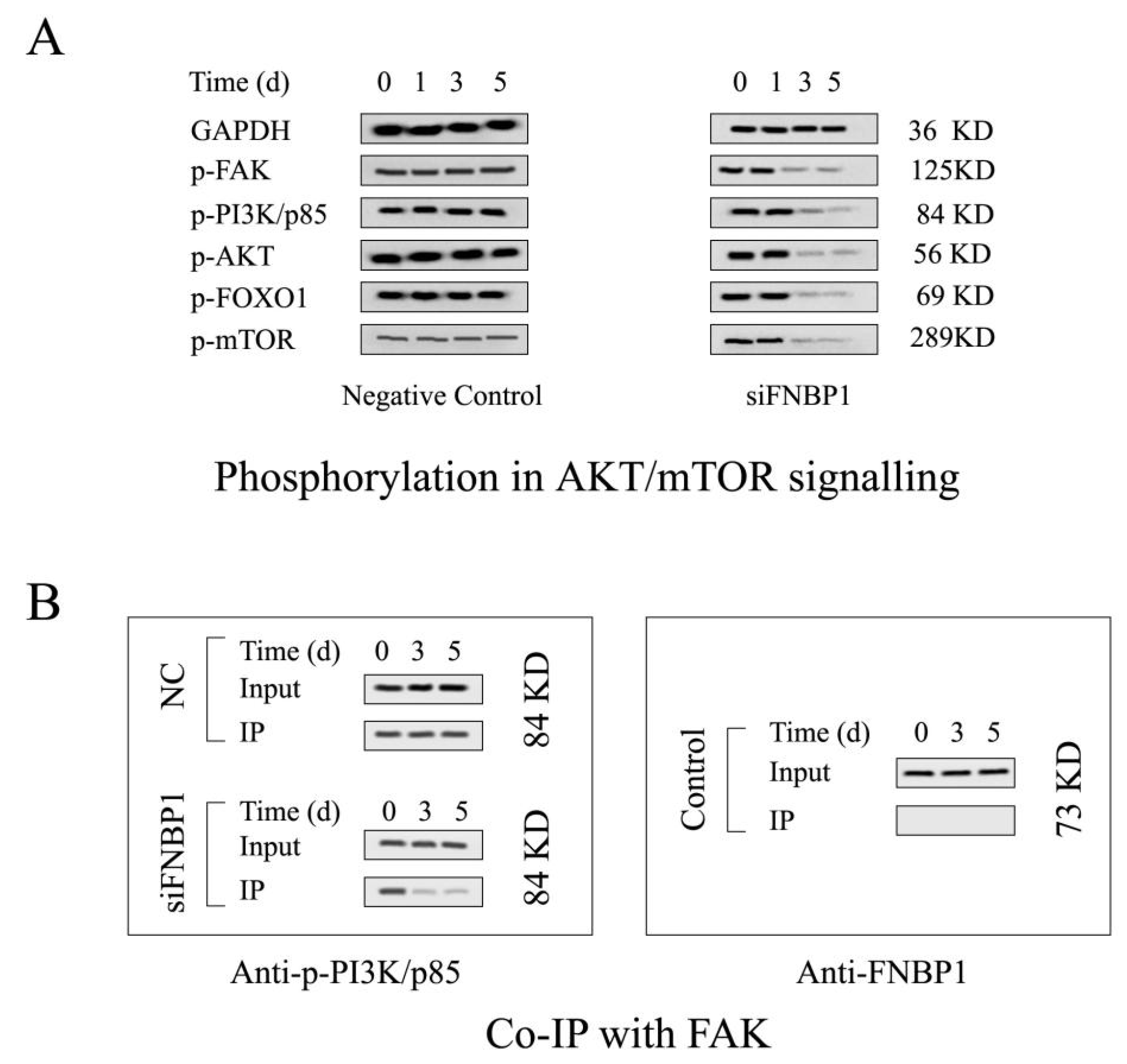 Cells 12 01964 g002 Cells 12 01964 g002