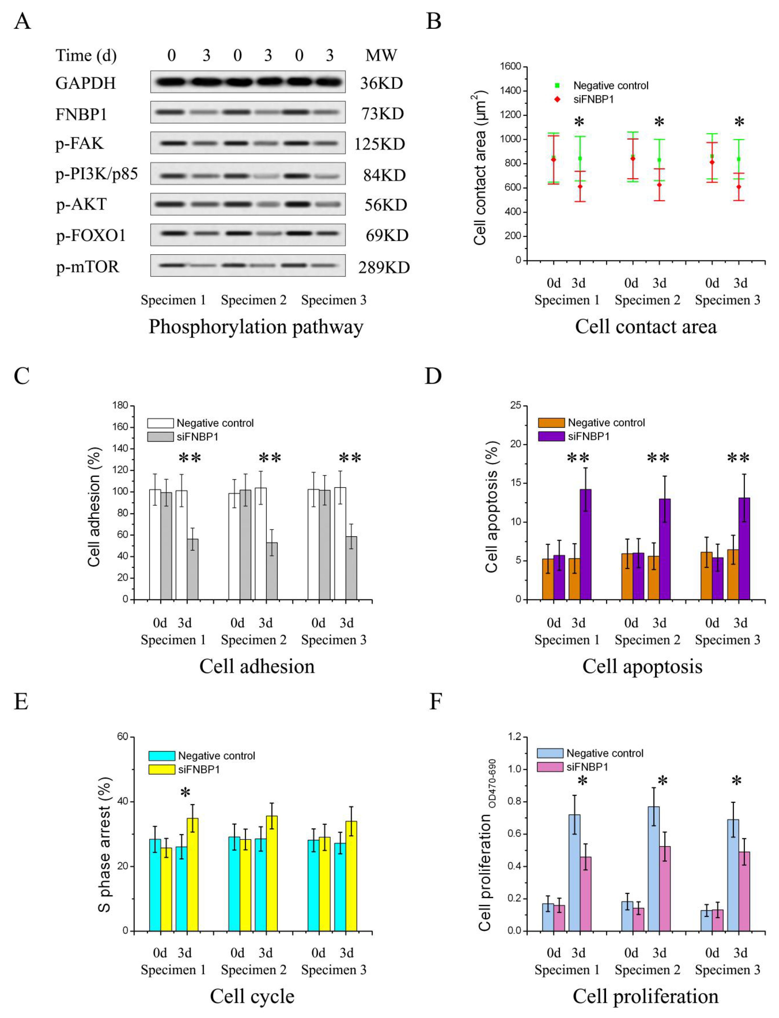 Cells 12 01964 g005 Cells 12 01964 g005