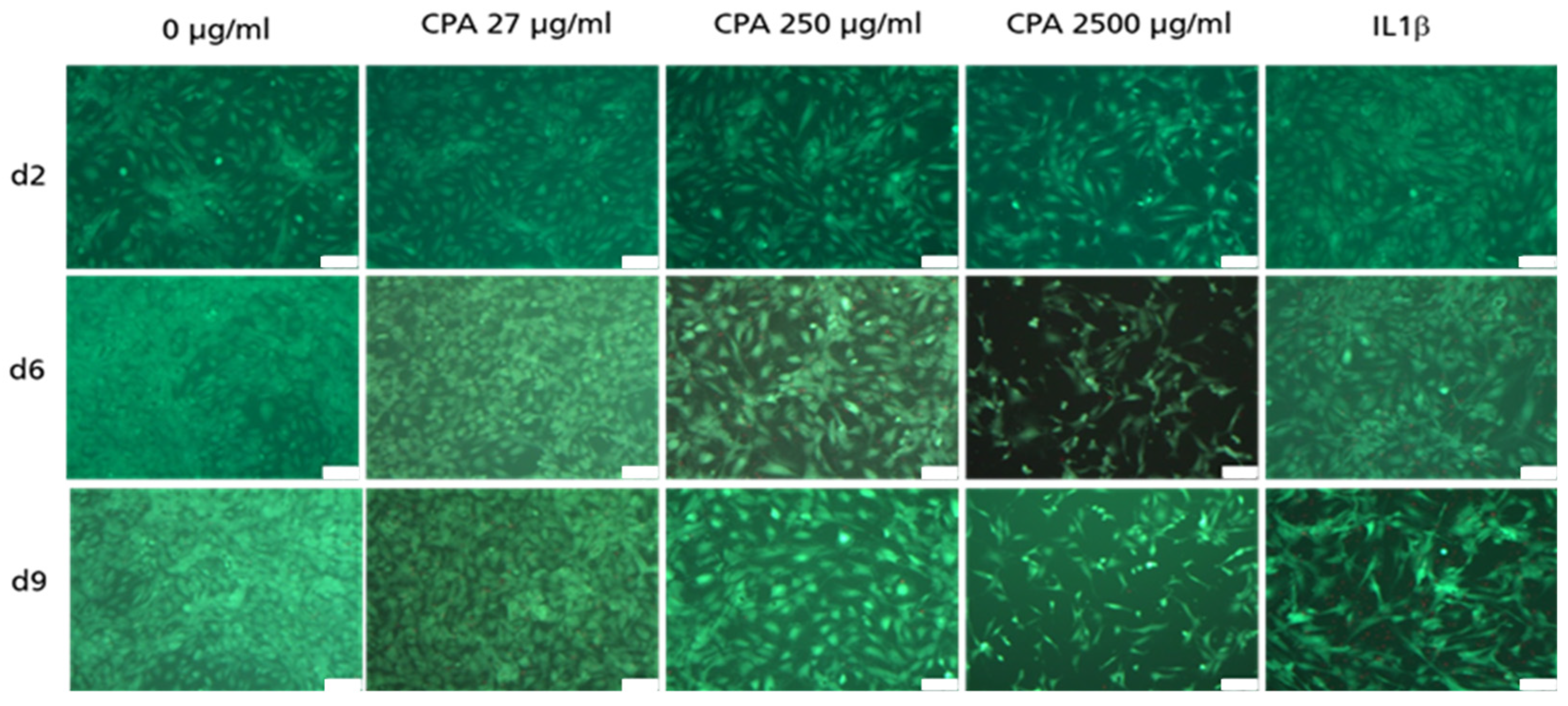 Cells 12 01965 g005 Cells 12 01965 g005