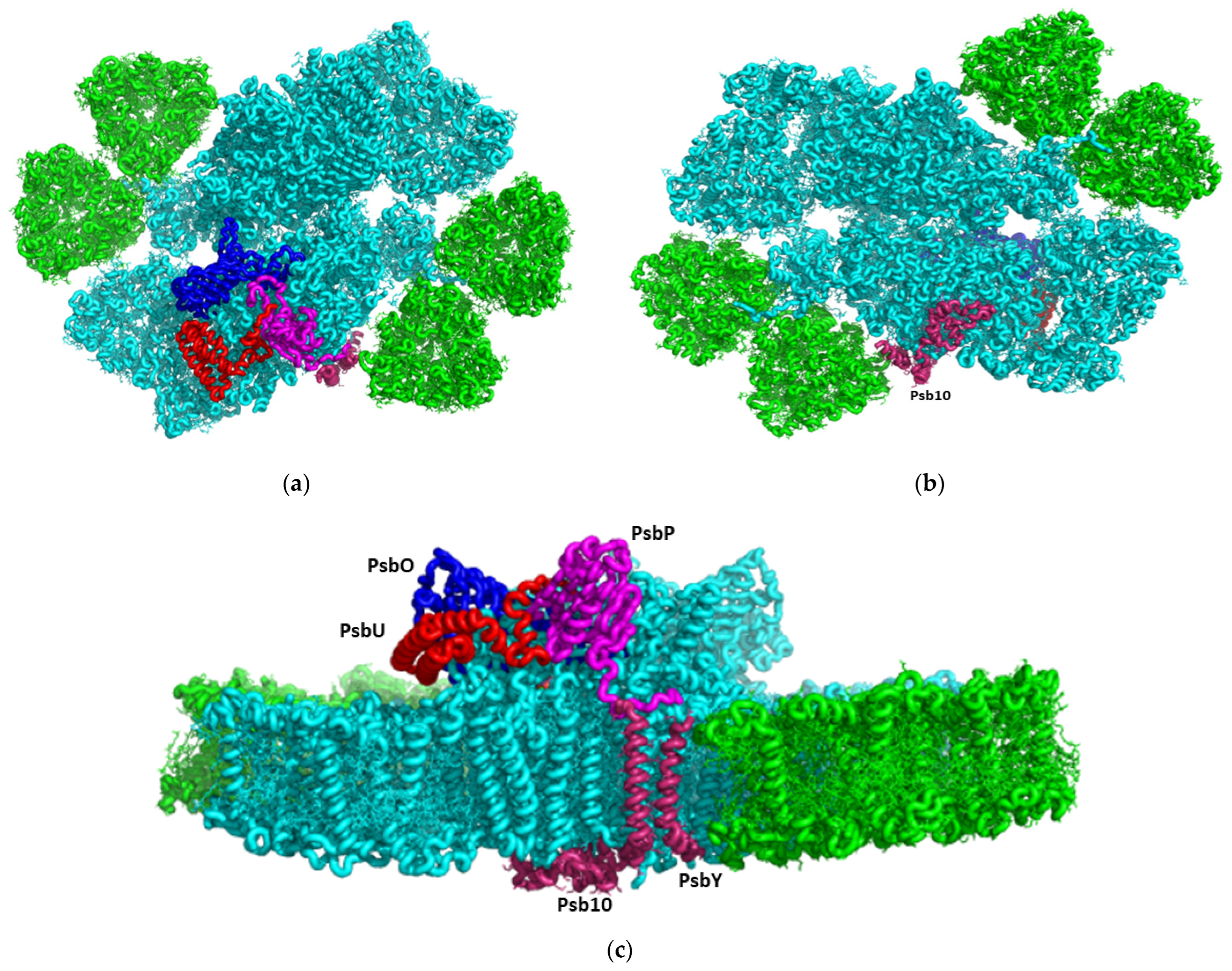Cells 12 01971 g001 Cells 12 01971 g001
