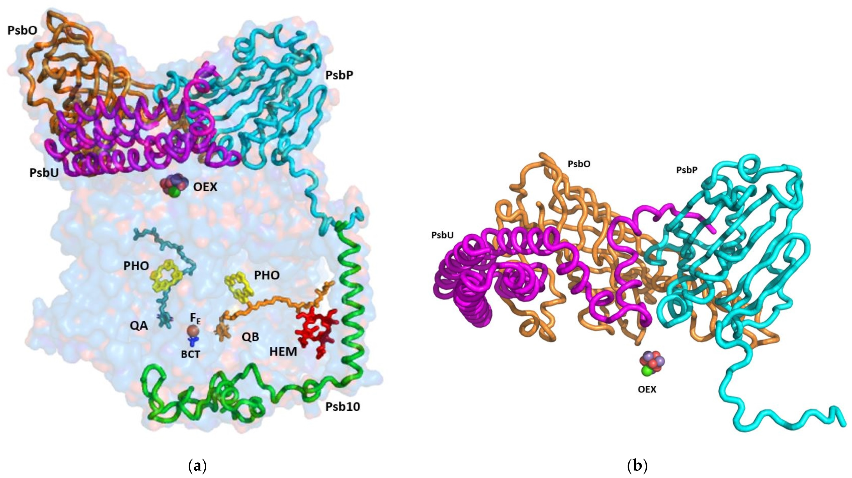 Cells 12 01971 g002 Cells 12 01971 g002
