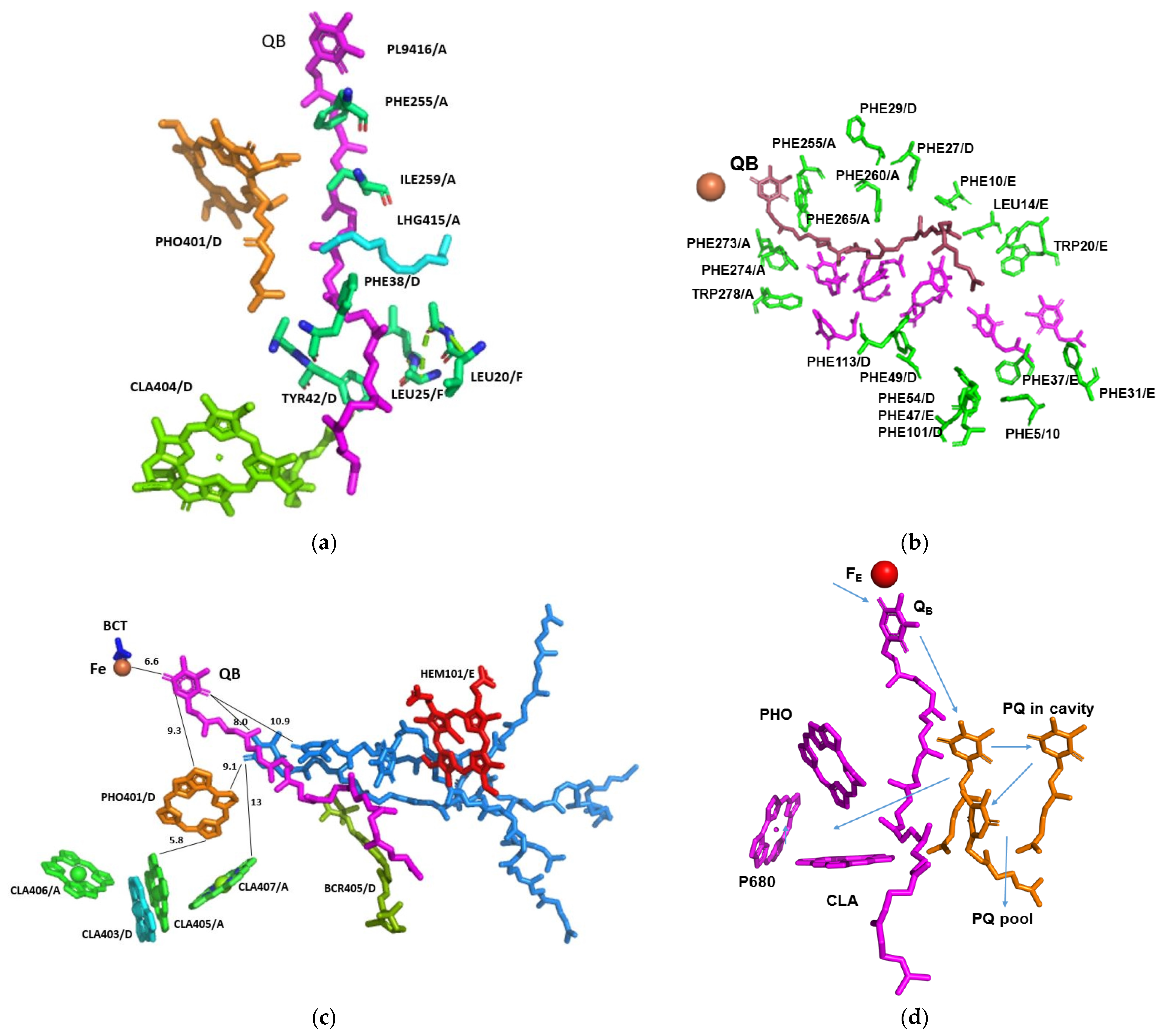 Cells 12 01971 g004 Cells 12 01971 g004