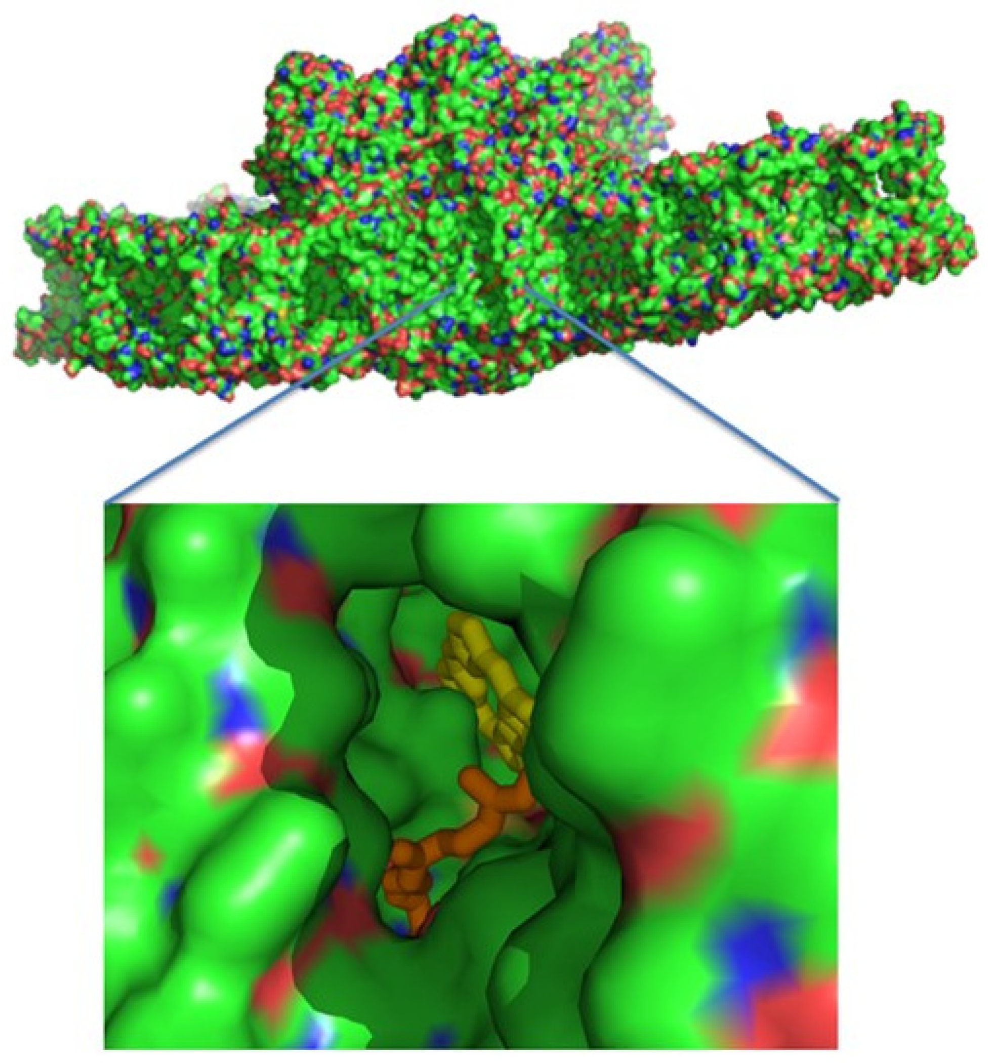 Cells 12 01971 g005 Cells 12 01971 g005