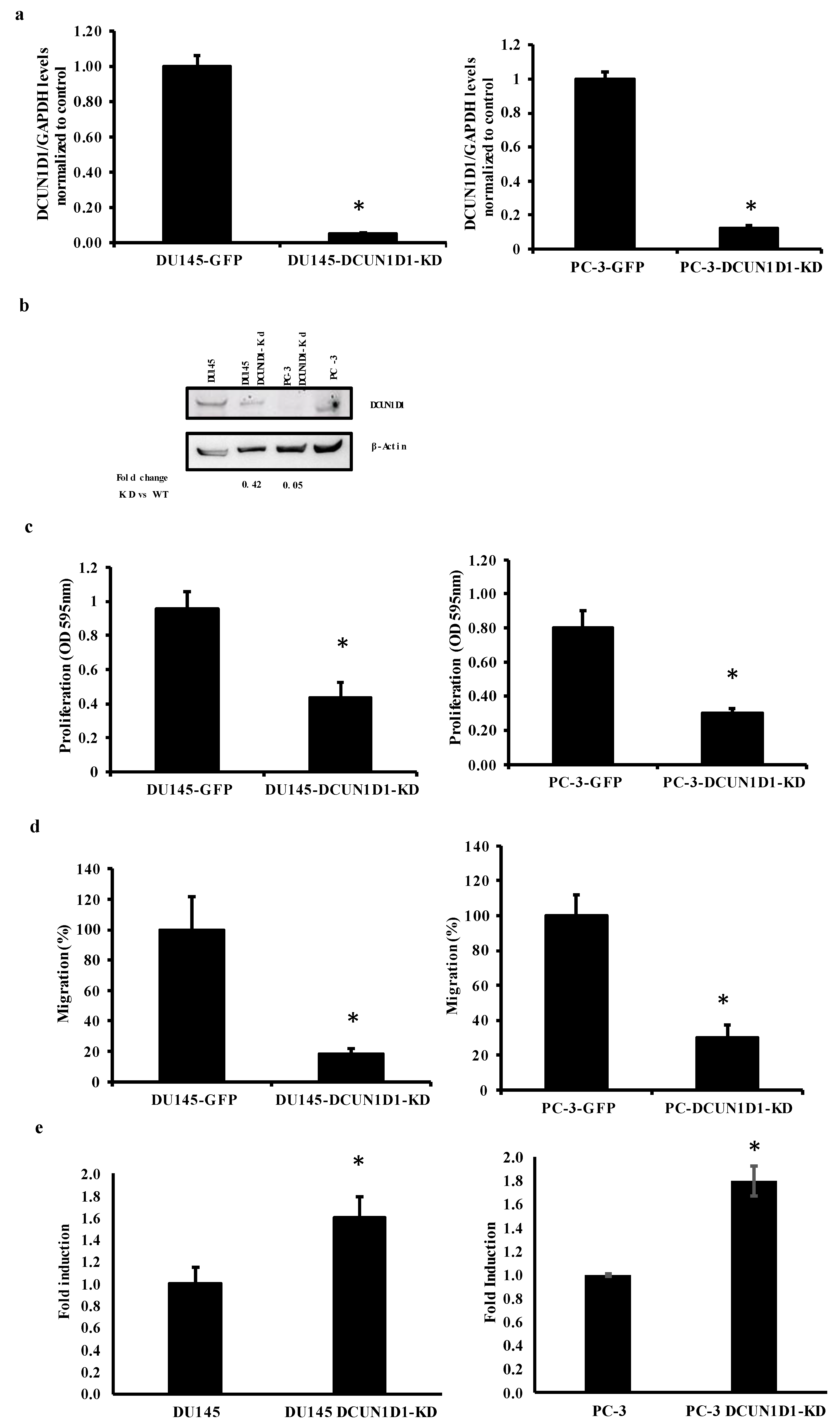 Cells 12 01973 g002 Cells 12 01973 g002