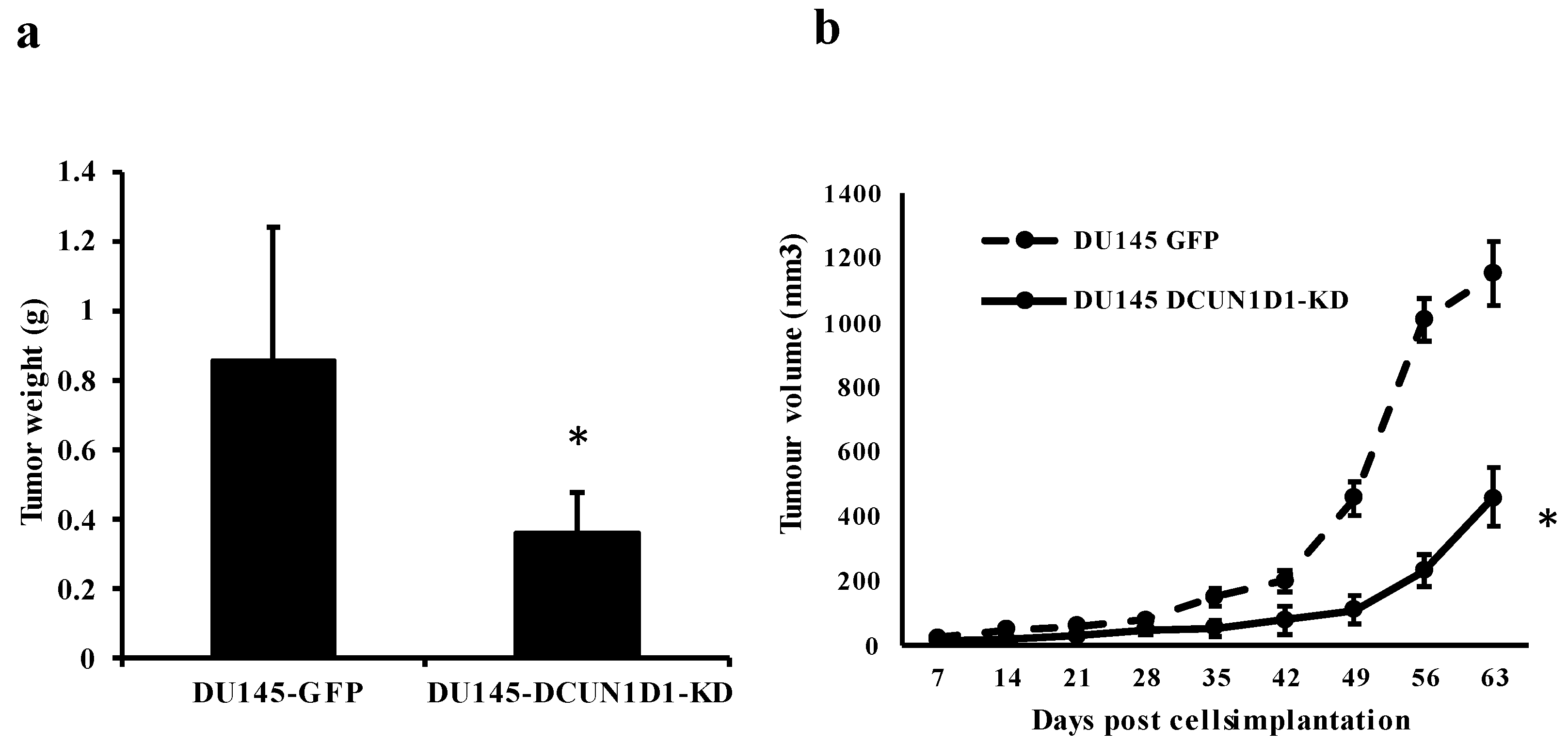 Cells 12 01973 g003 Cells 12 01973 g003