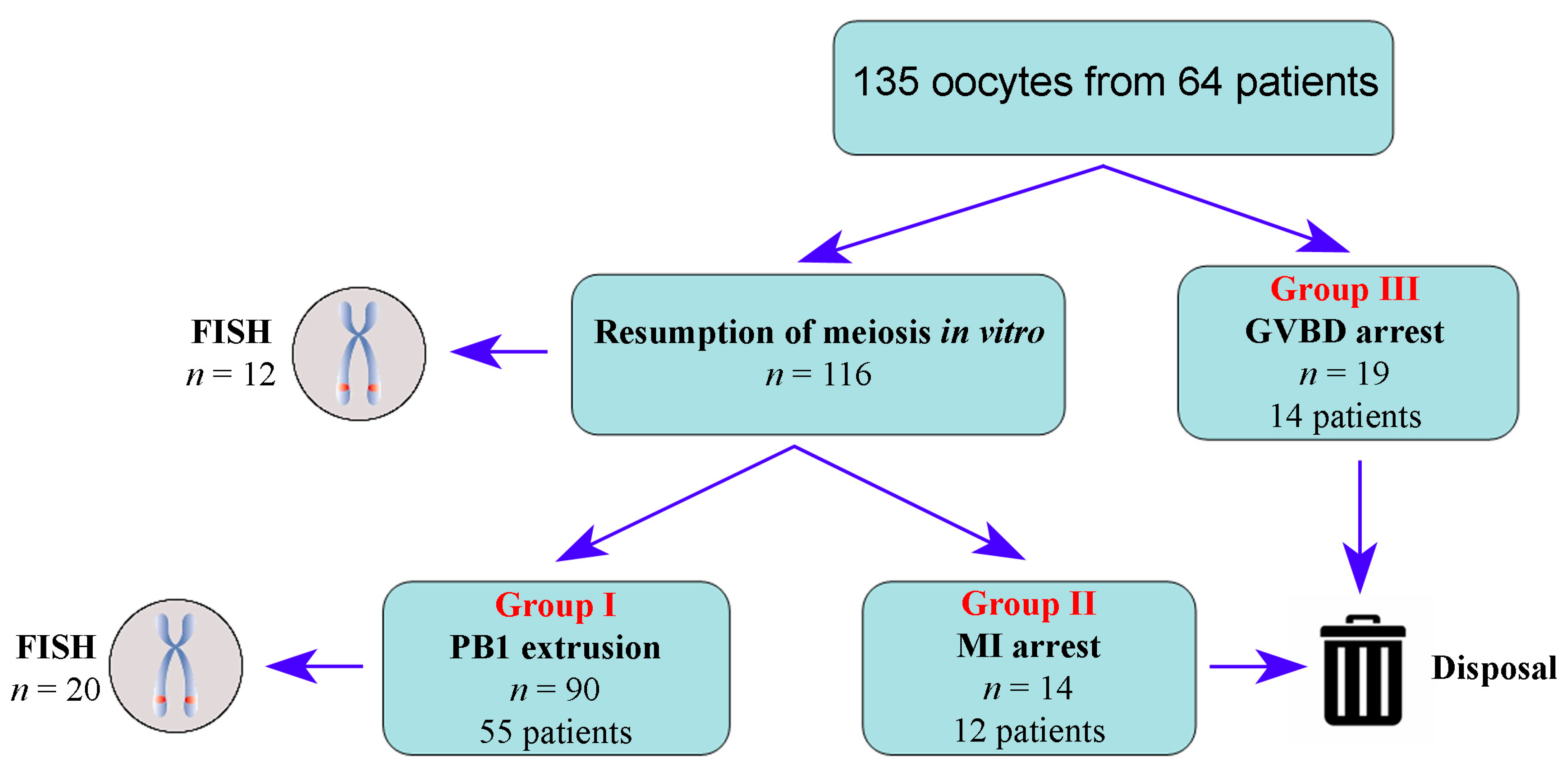 Cells 12 01976 g001 Cells 12 01976 g001