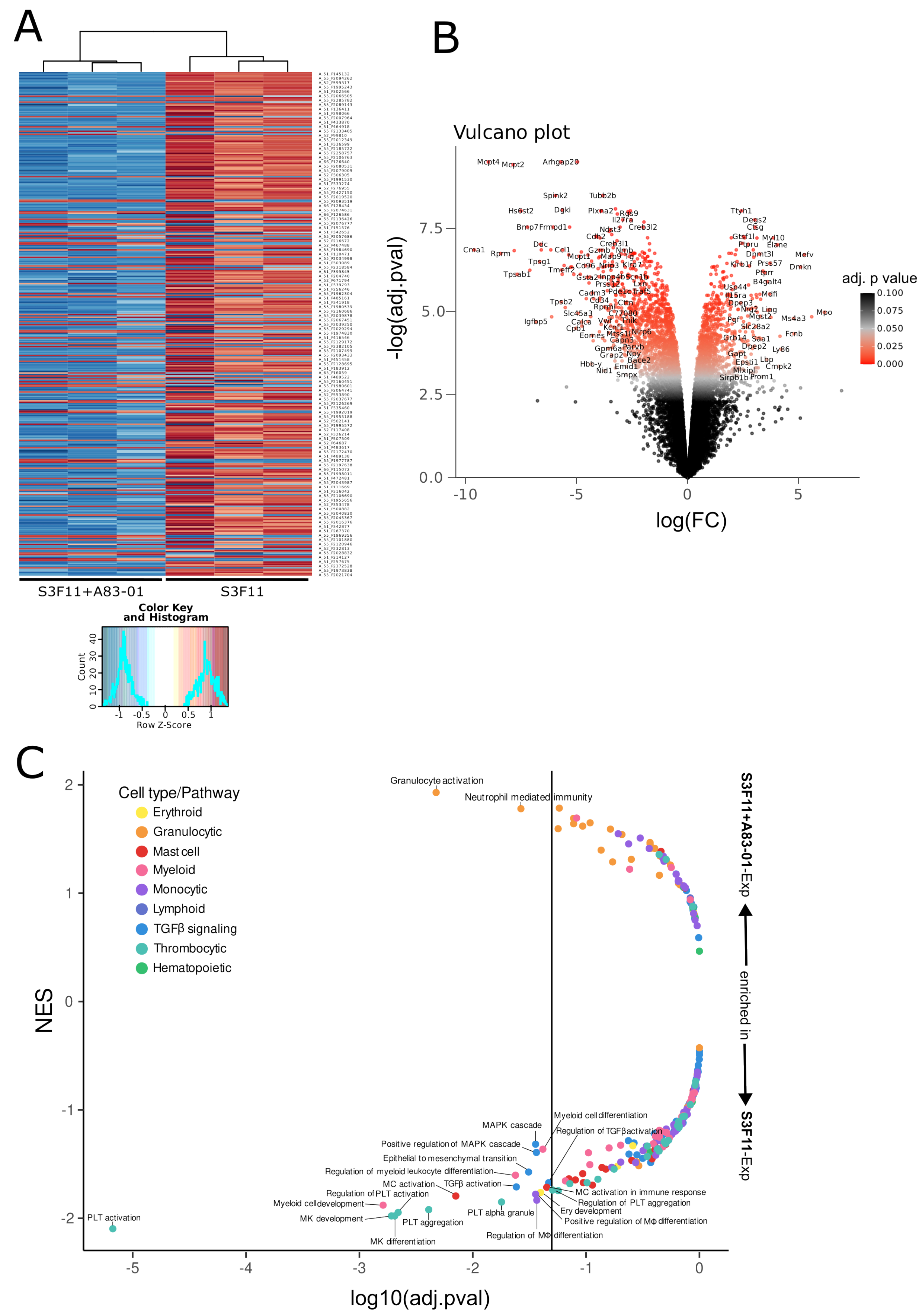 Cells 12 01978 g003 Cells 12 01978 g003