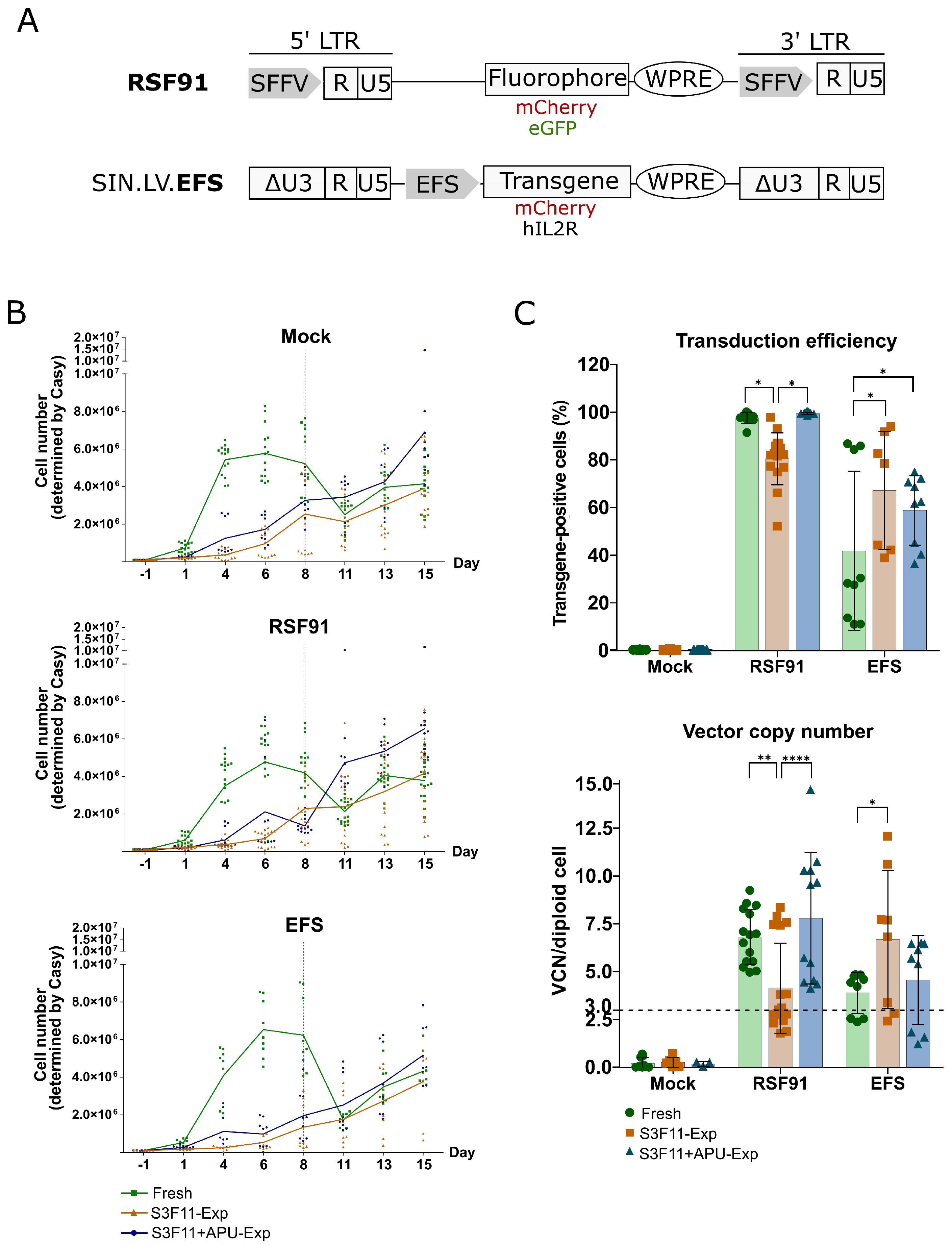 Cells 12 01978 g005 Cells 12 01978 g005