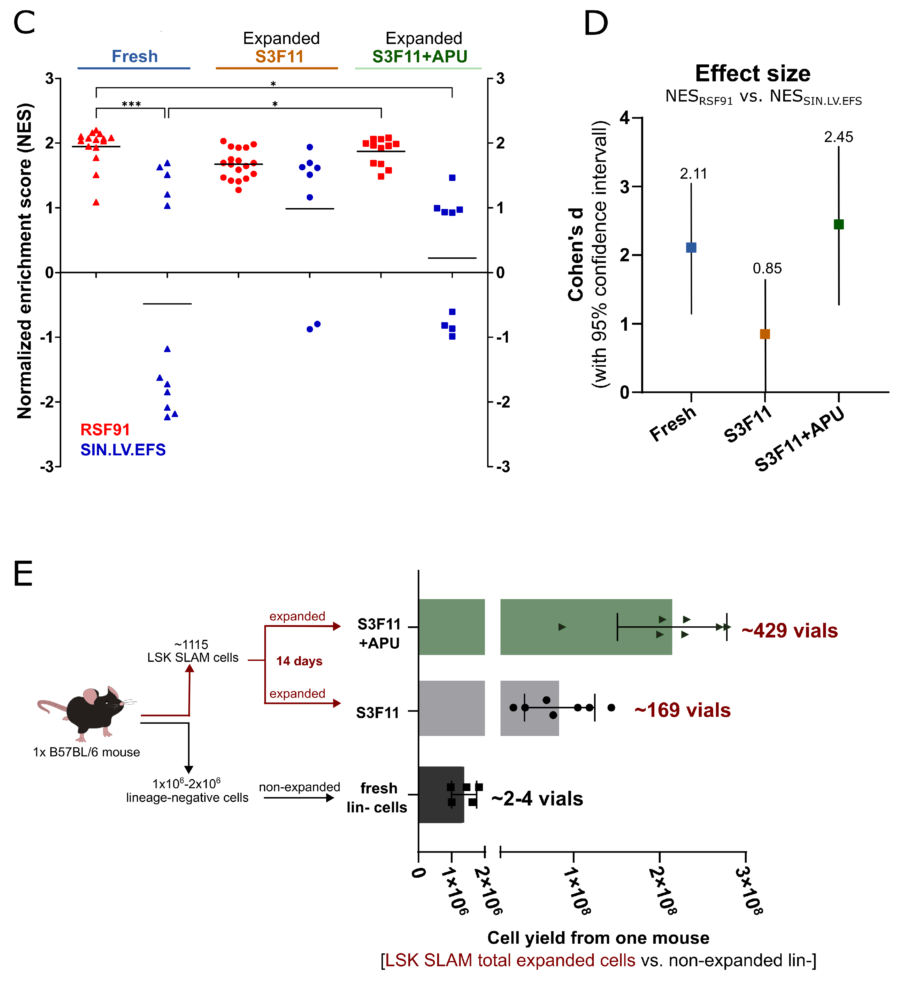 Cells 12 01978 g007b Cells 12 01978 g007b