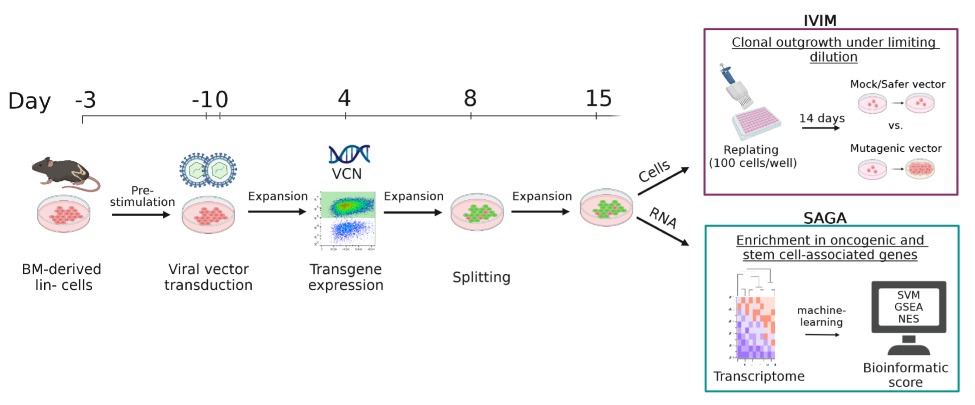 Cells 12 01978 sch001 Cells 12 01978 sch001
