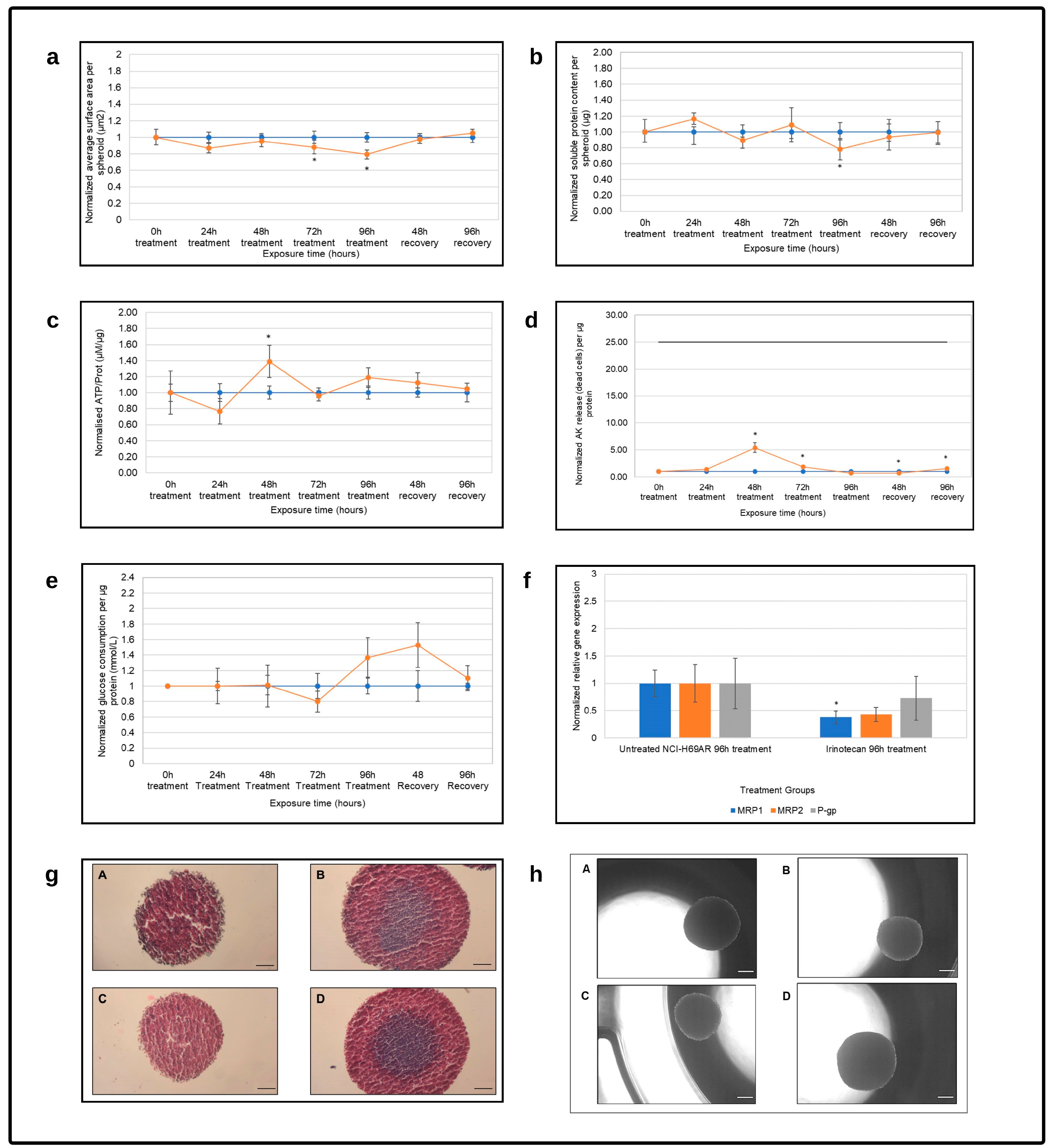 Cells 12 01980 g003 Cells 12 01980 g003