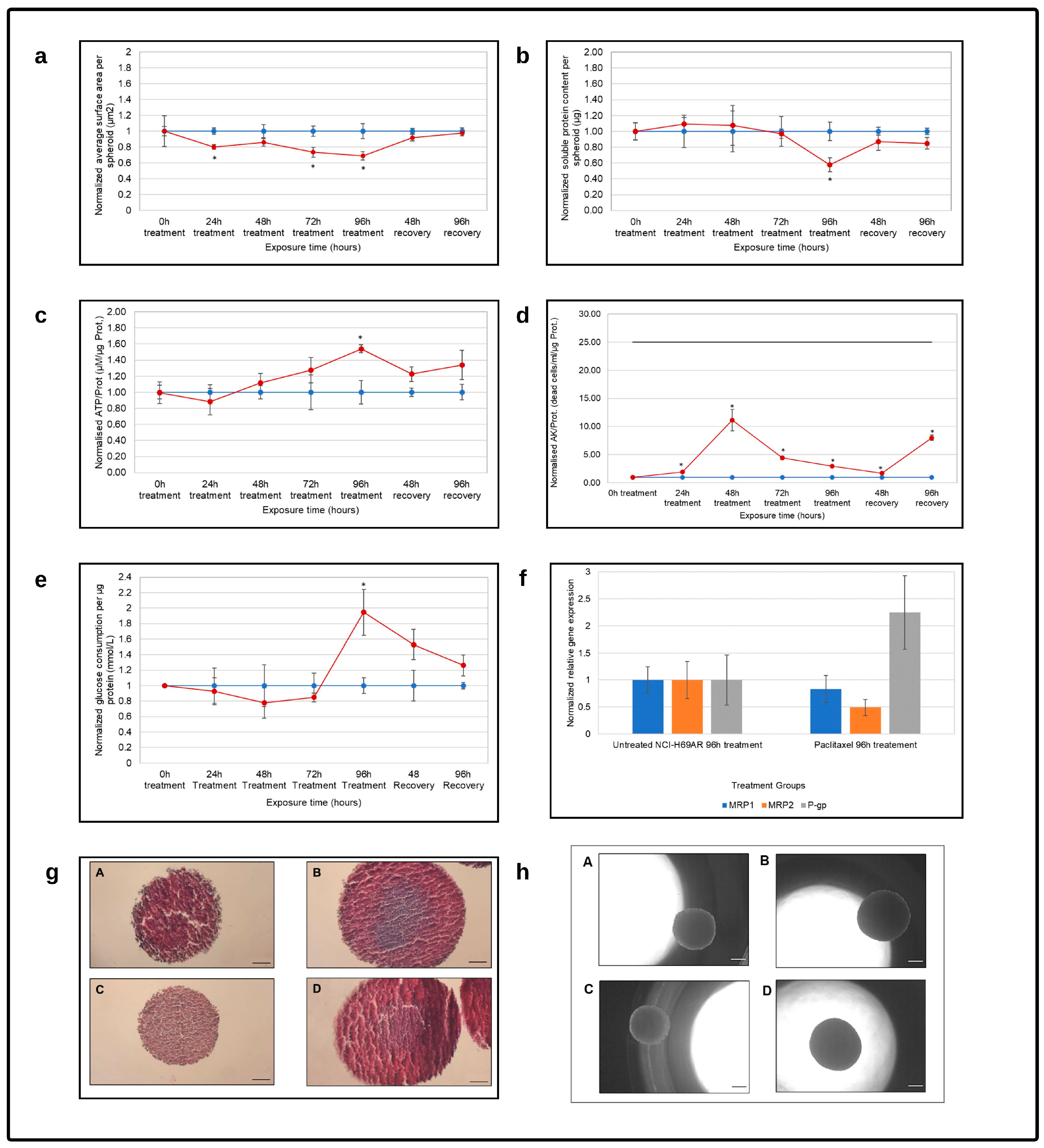 Cells 12 01980 g004 Cells 12 01980 g004