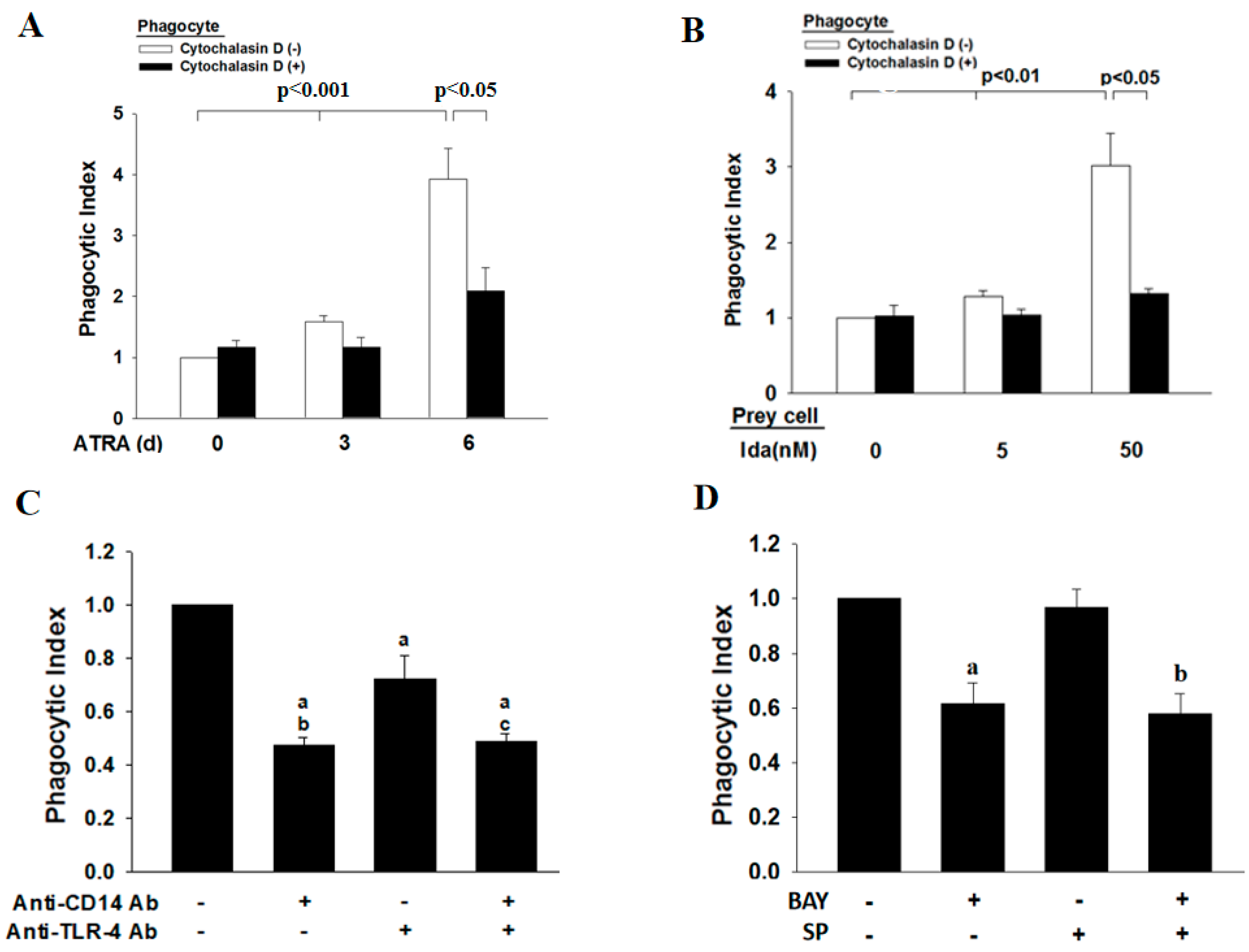 Cells 12 01983 g004 Cells 12 01983 g004