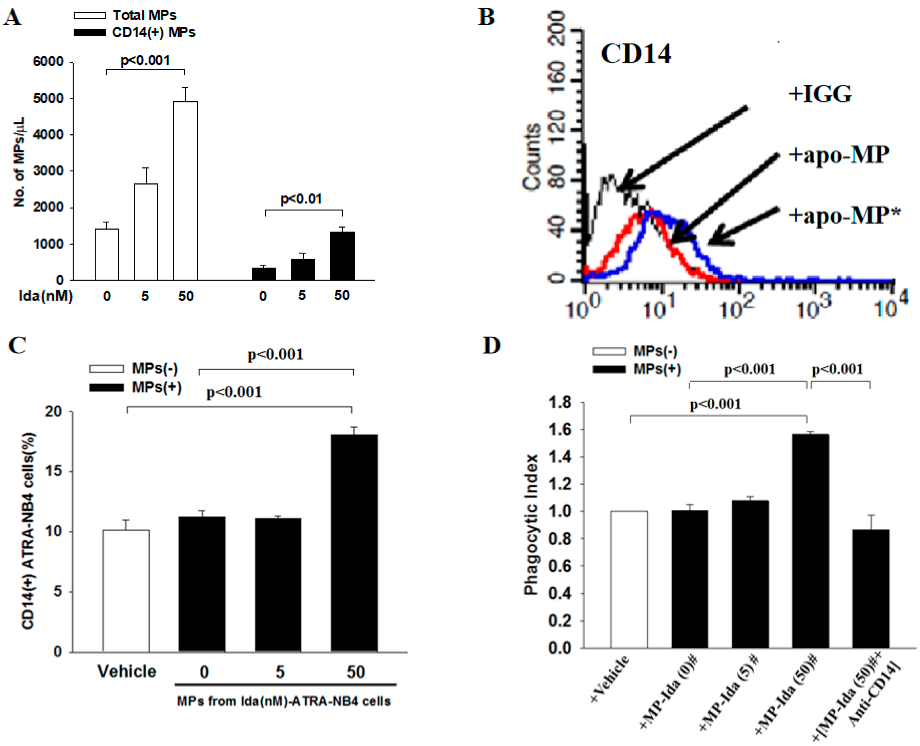 Cells 12 01983 g005 Cells 12 01983 g005