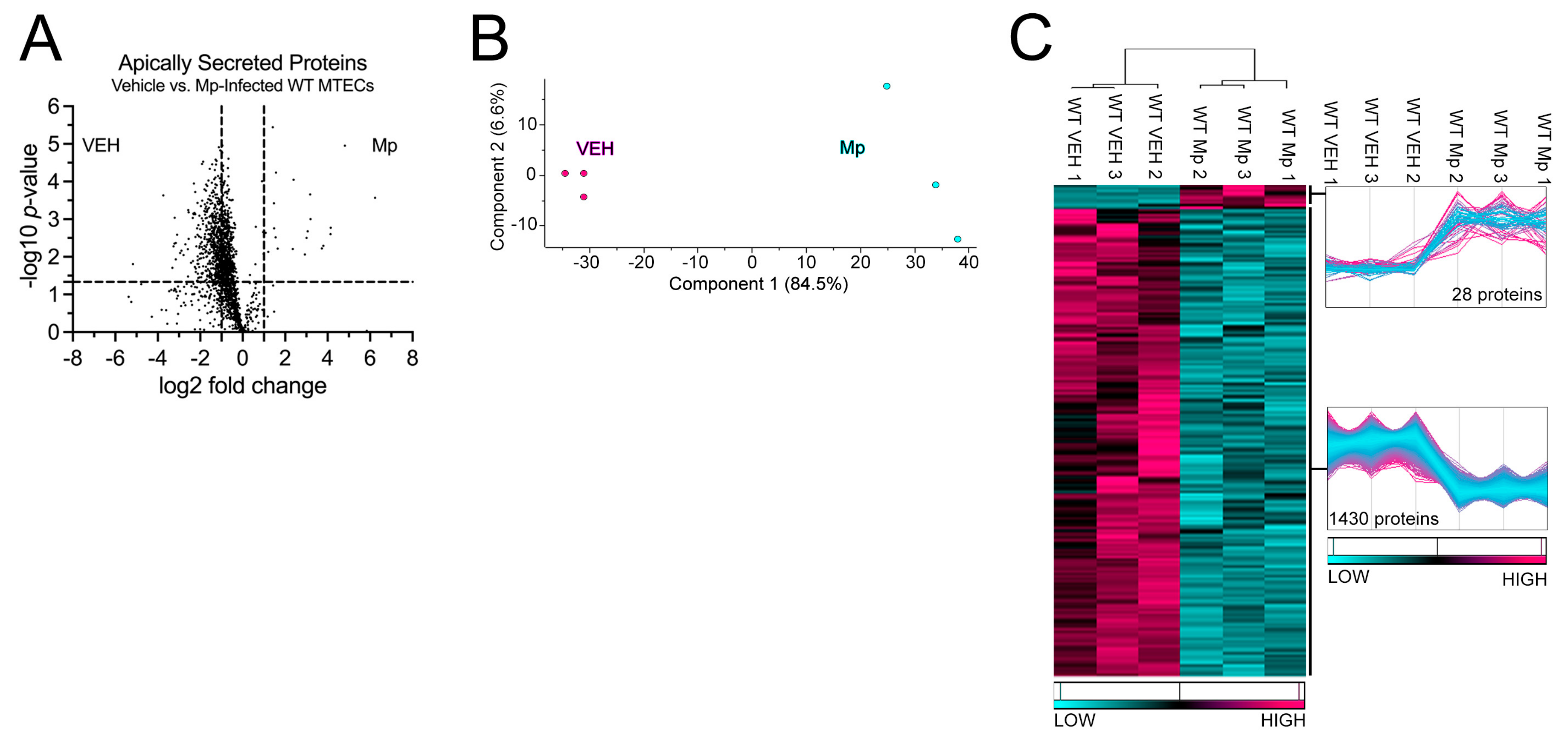 Cells 12 01984 g001 Cells 12 01984 g001