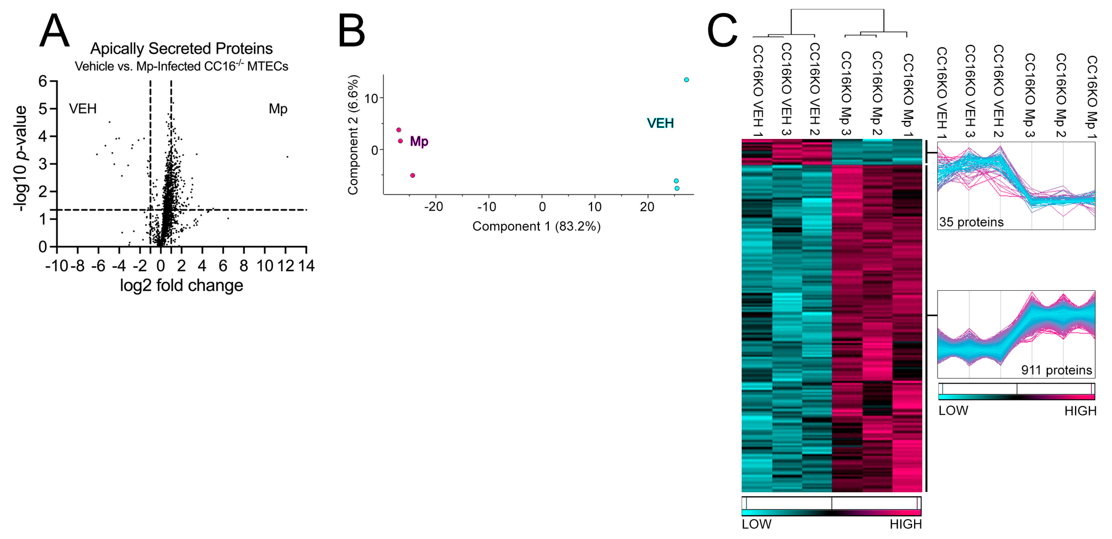 Cells 12 01984 g003 Cells 12 01984 g003