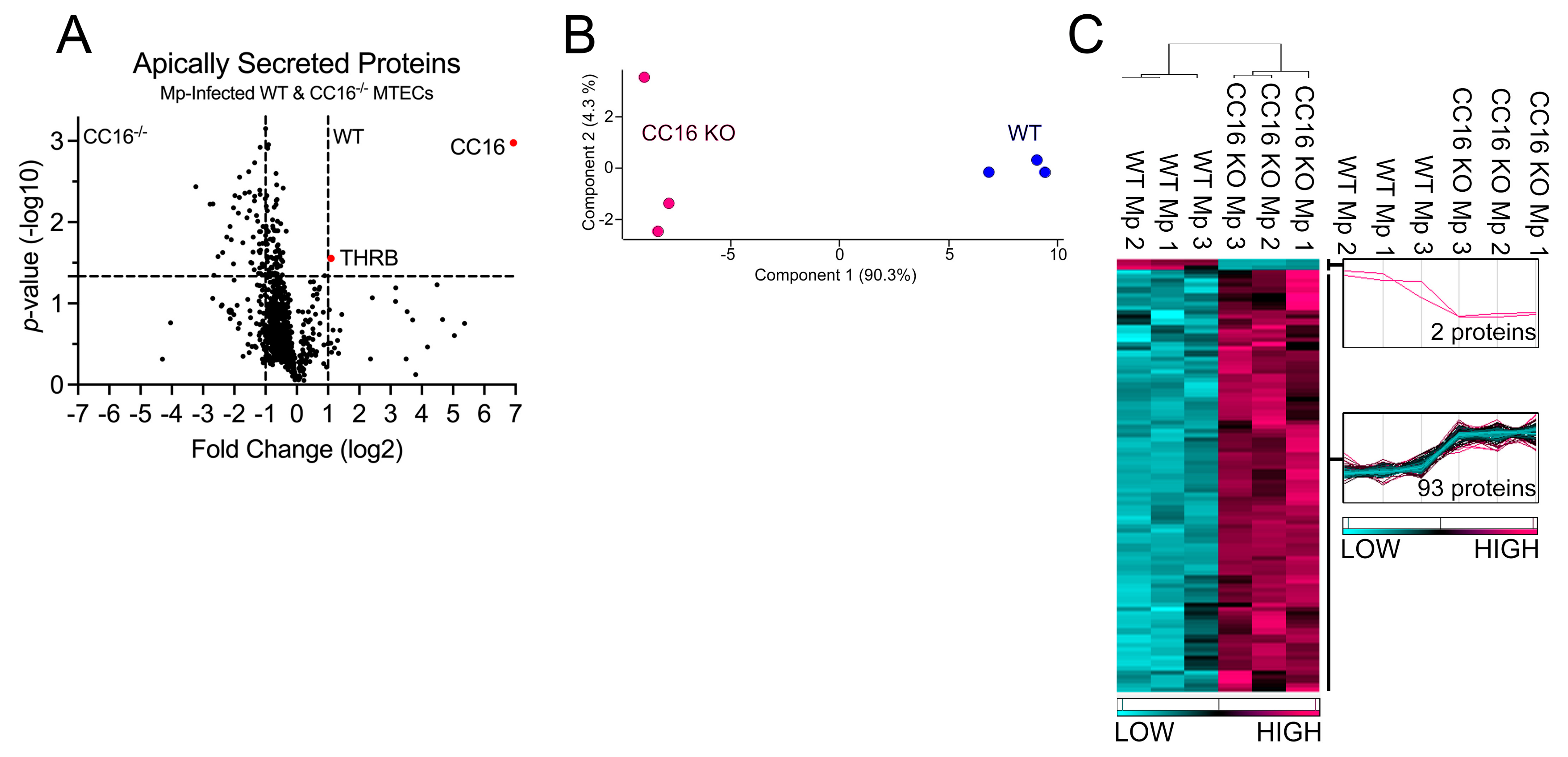 Cells 12 01984 g005 Cells 12 01984 g005