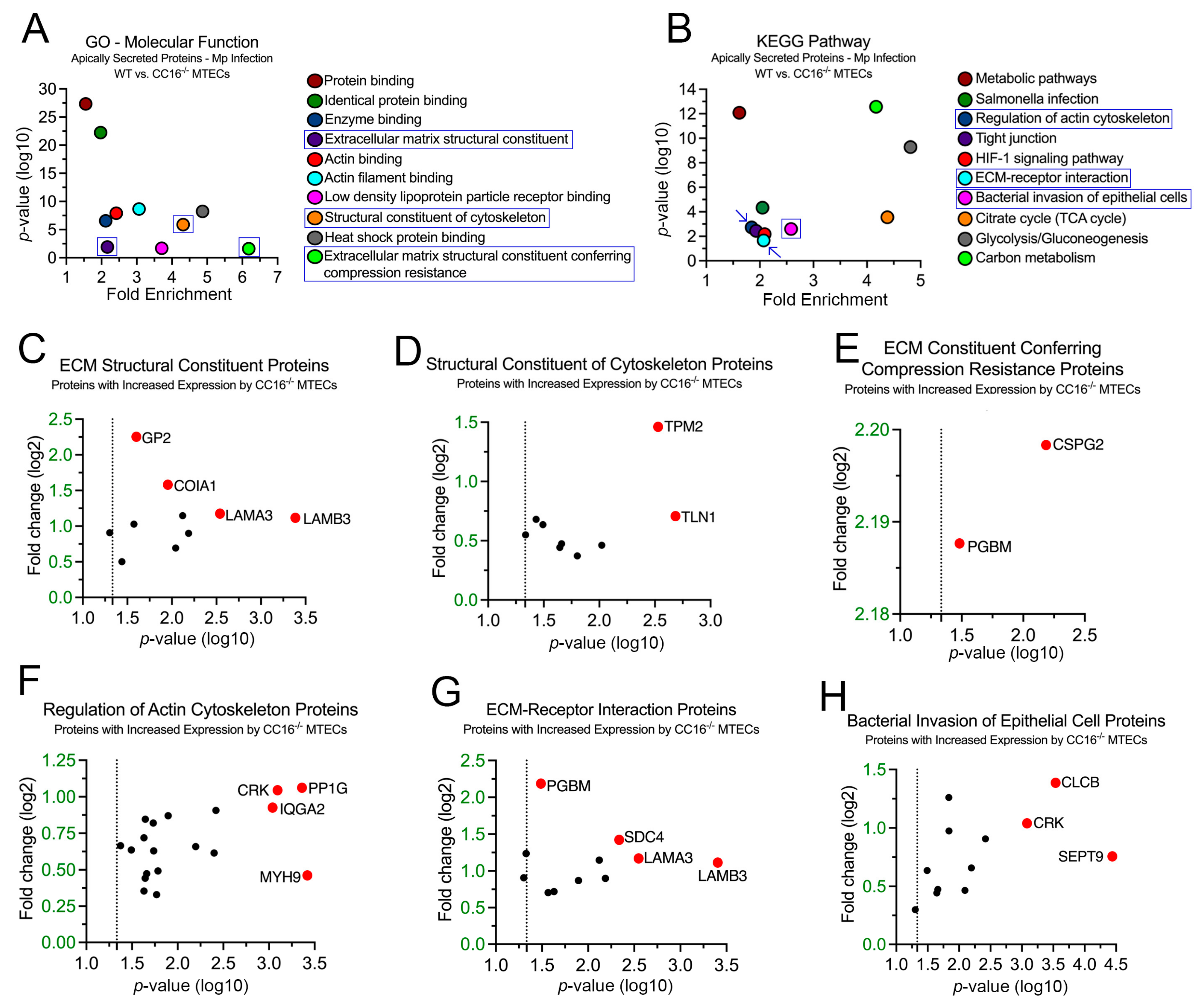 Cells 12 01984 g006 Cells 12 01984 g006