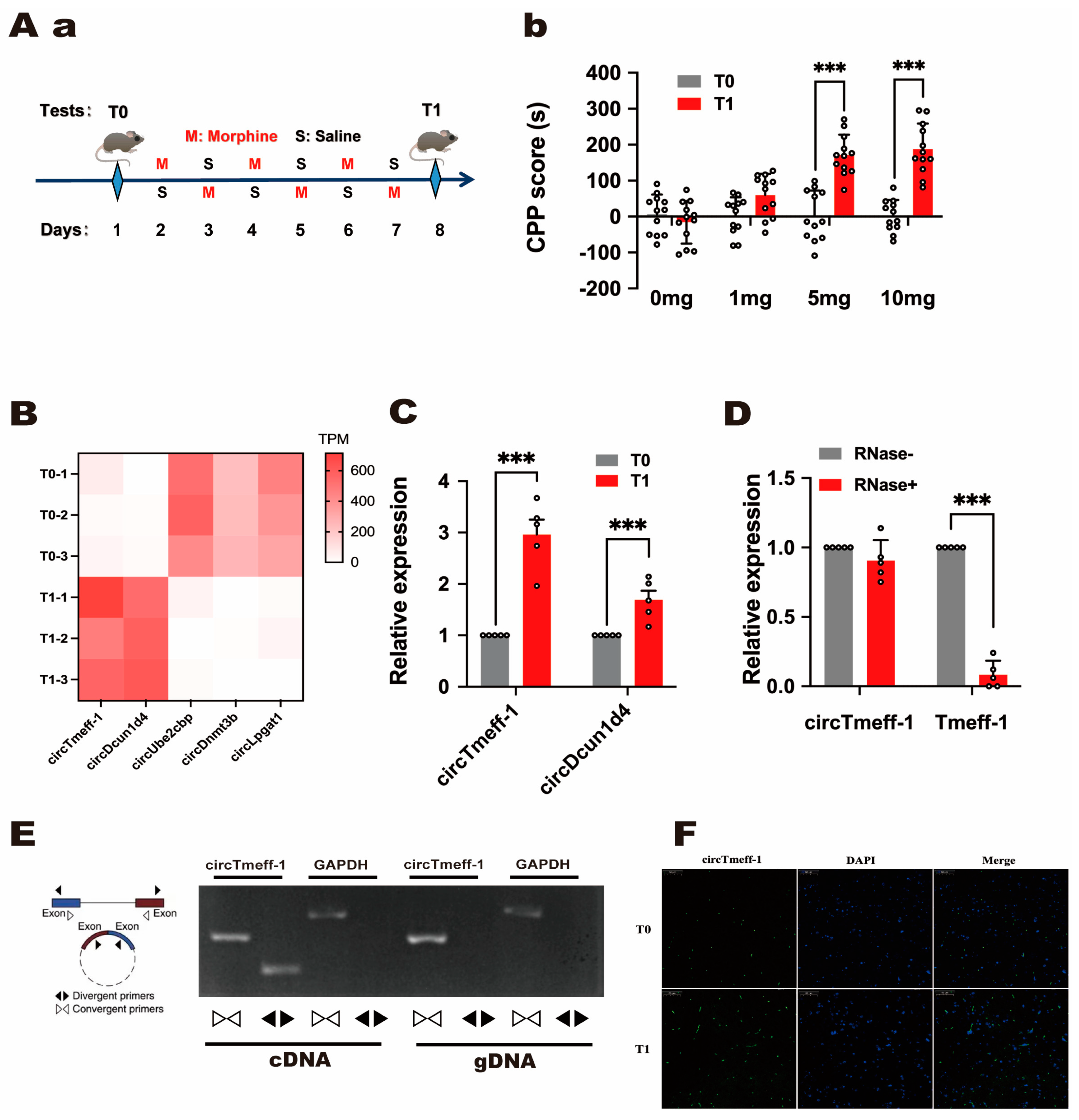 Cells 12 01985 g001 Cells 12 01985 g001