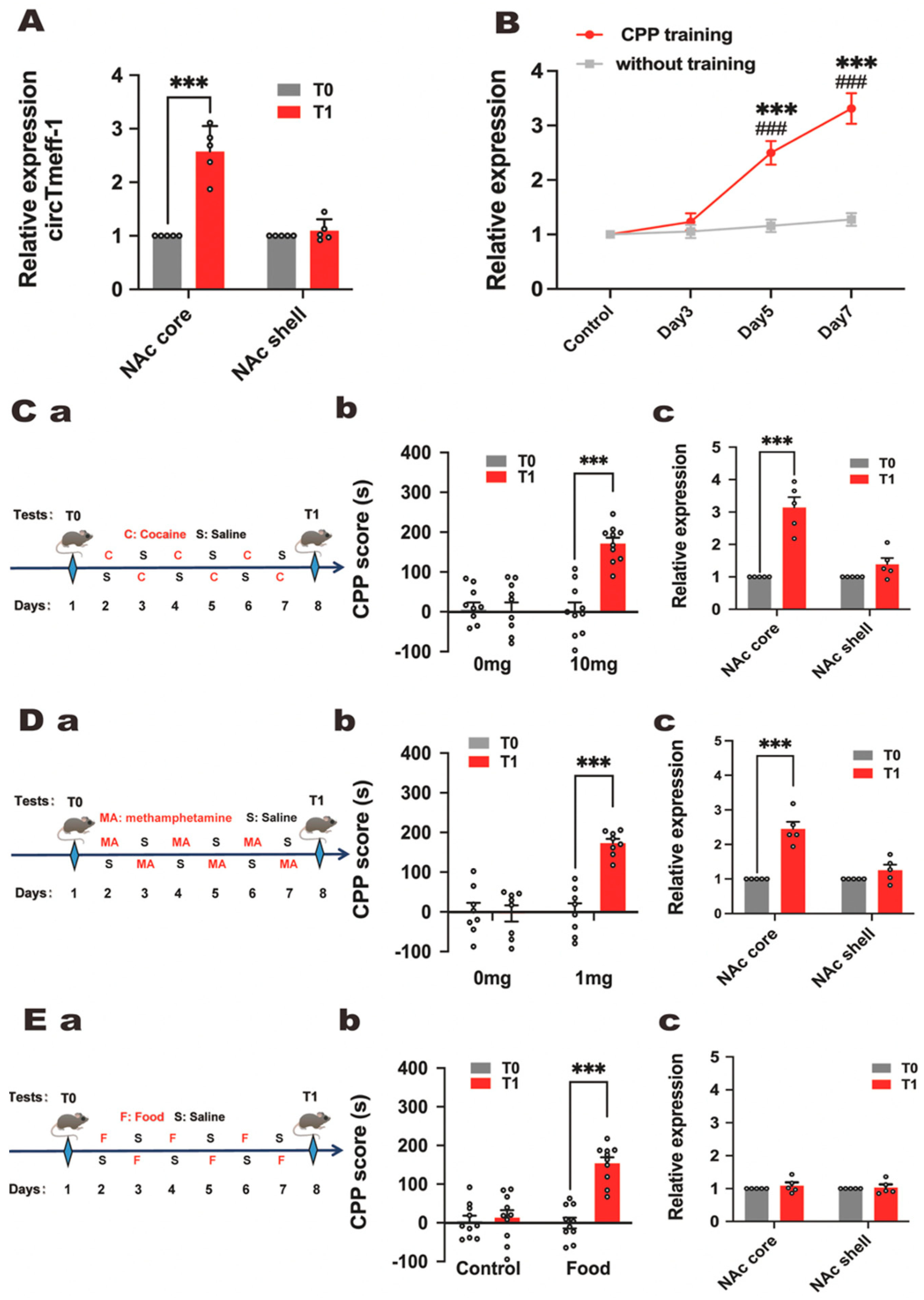 Cells 12 01985 g002 Cells 12 01985 g002