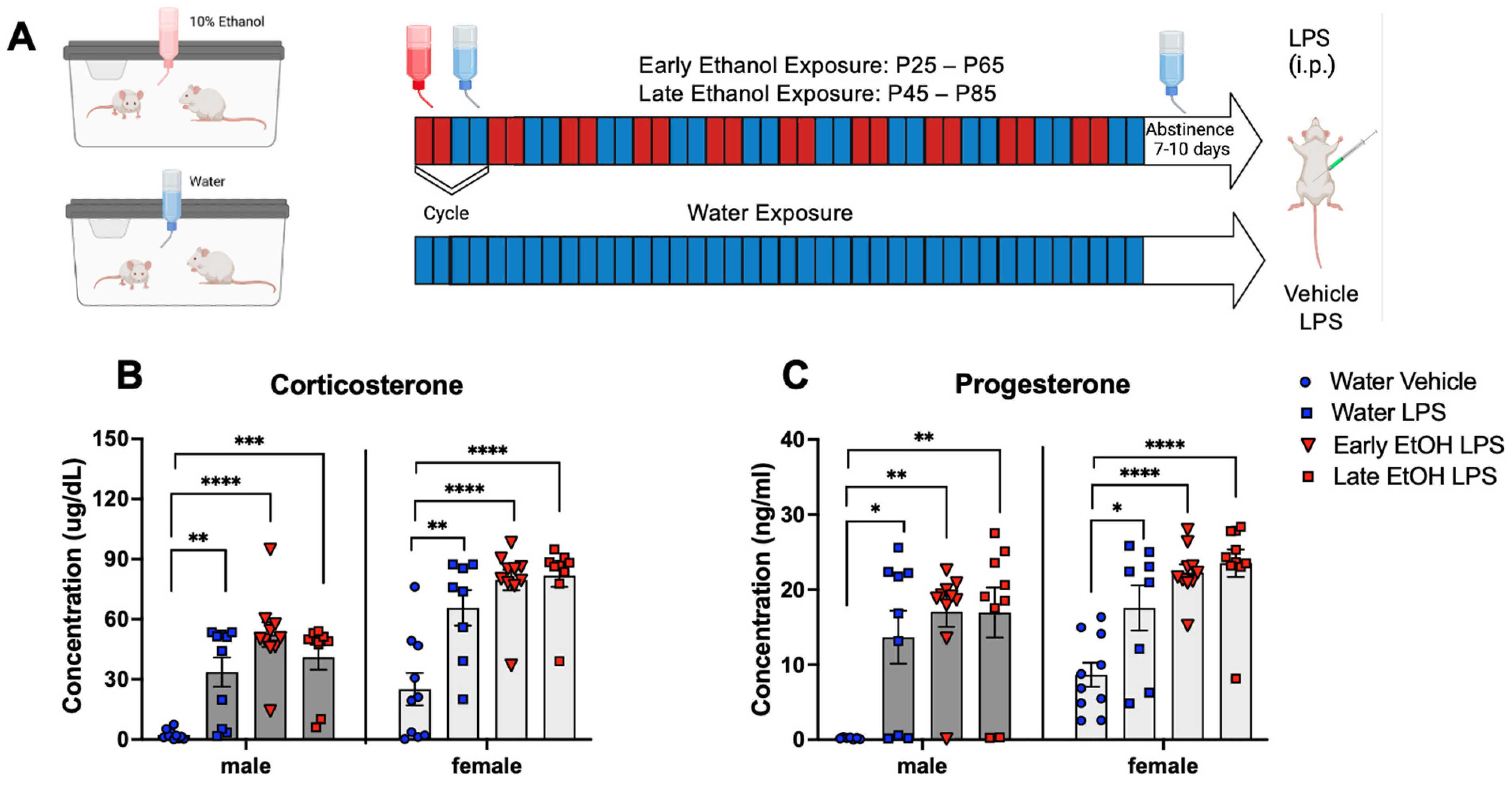 Cells 12 01991 g003 Cells 12 01991 g003