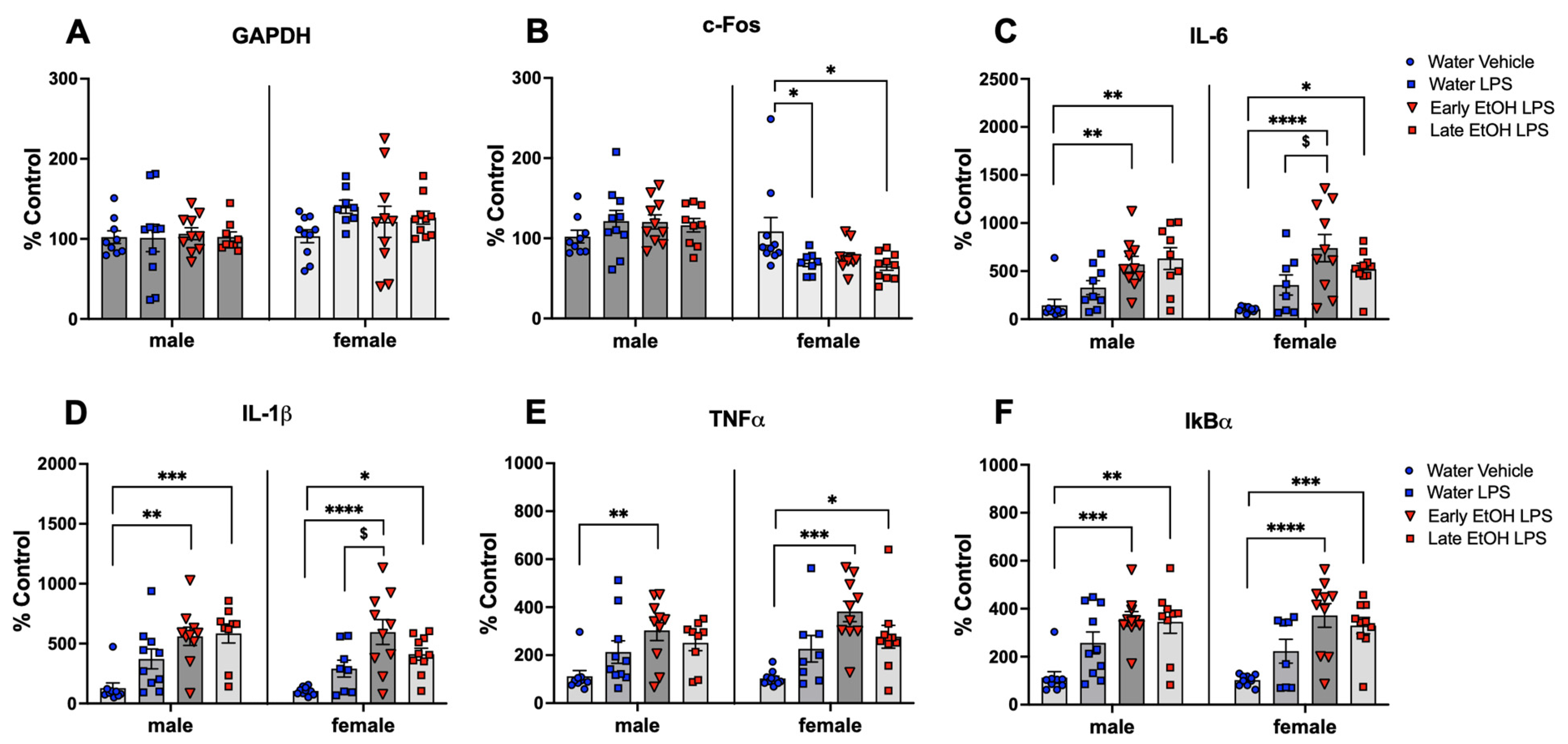Cells 12 01991 g004 Cells 12 01991 g004