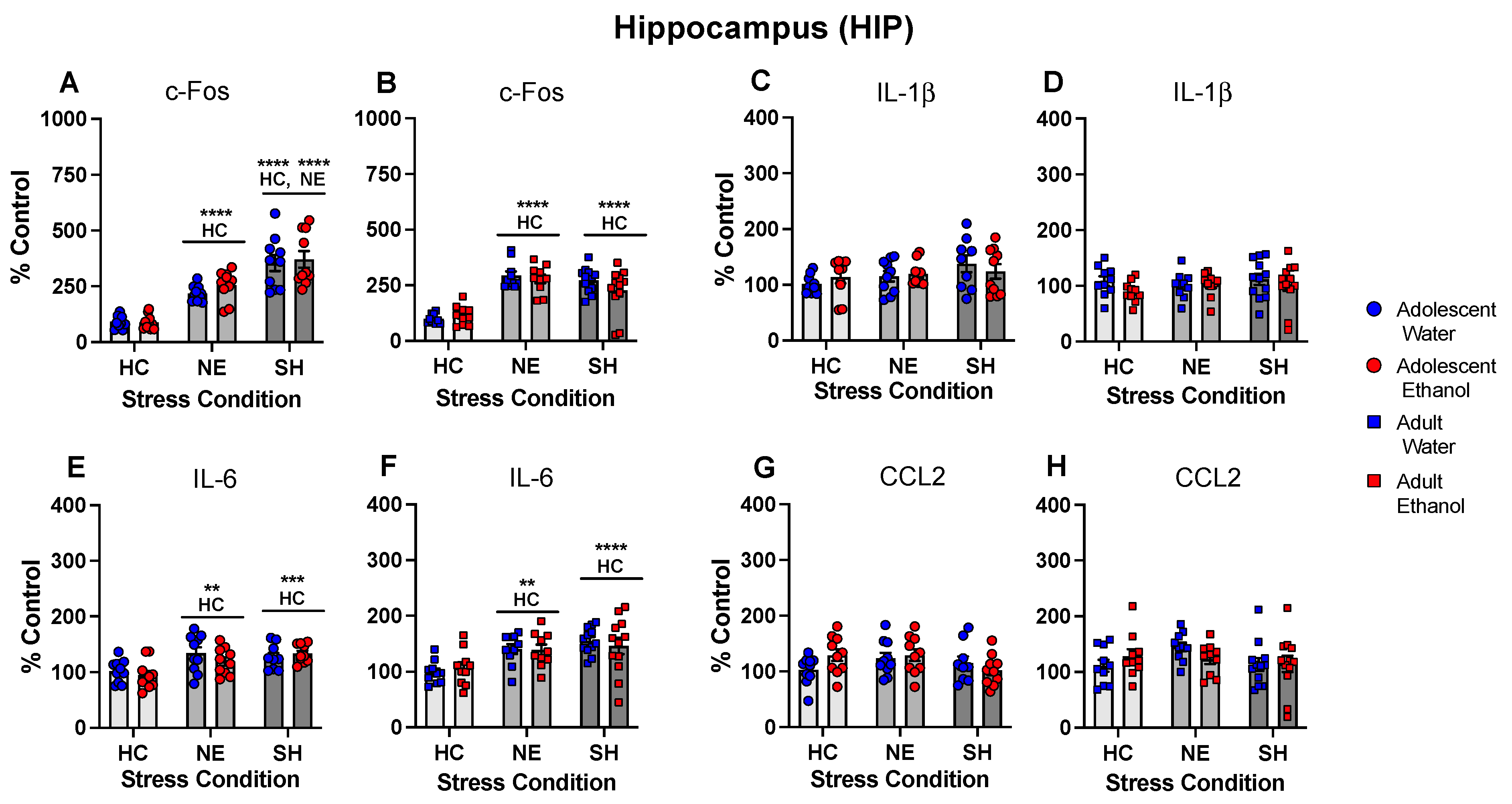 Cells 12 01991 g008 Cells 12 01991 g008