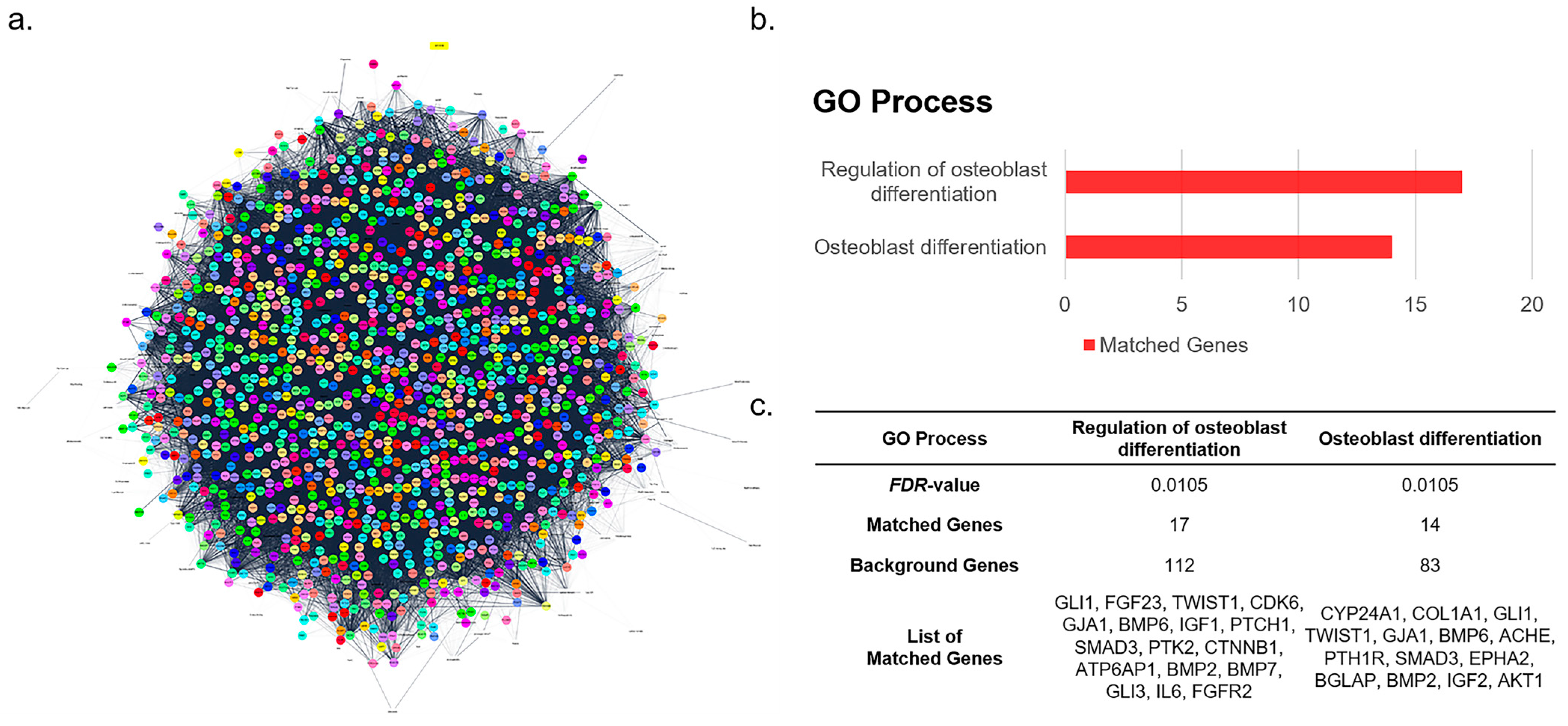 Cells 12 01992 g002 Cells 12 01992 g002