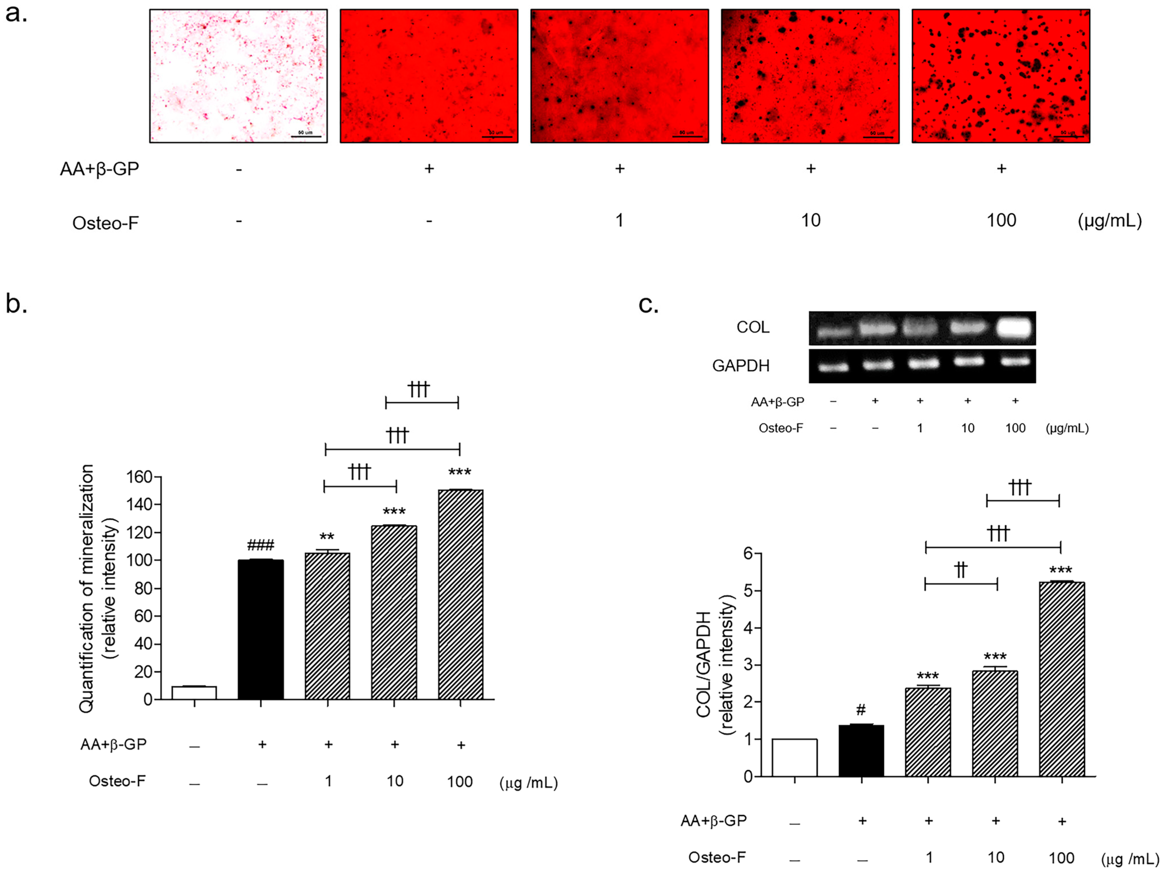 Cells 12 01992 g003 Cells 12 01992 g003