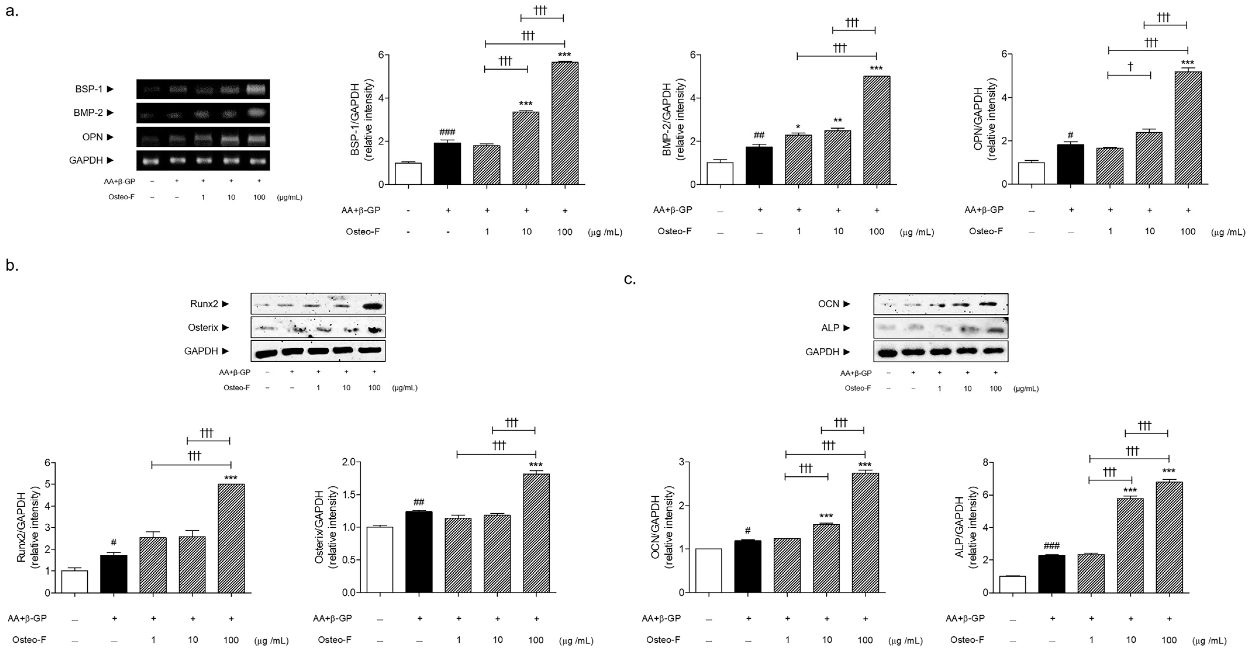 Cells 12 01992 g004 Cells 12 01992 g004
