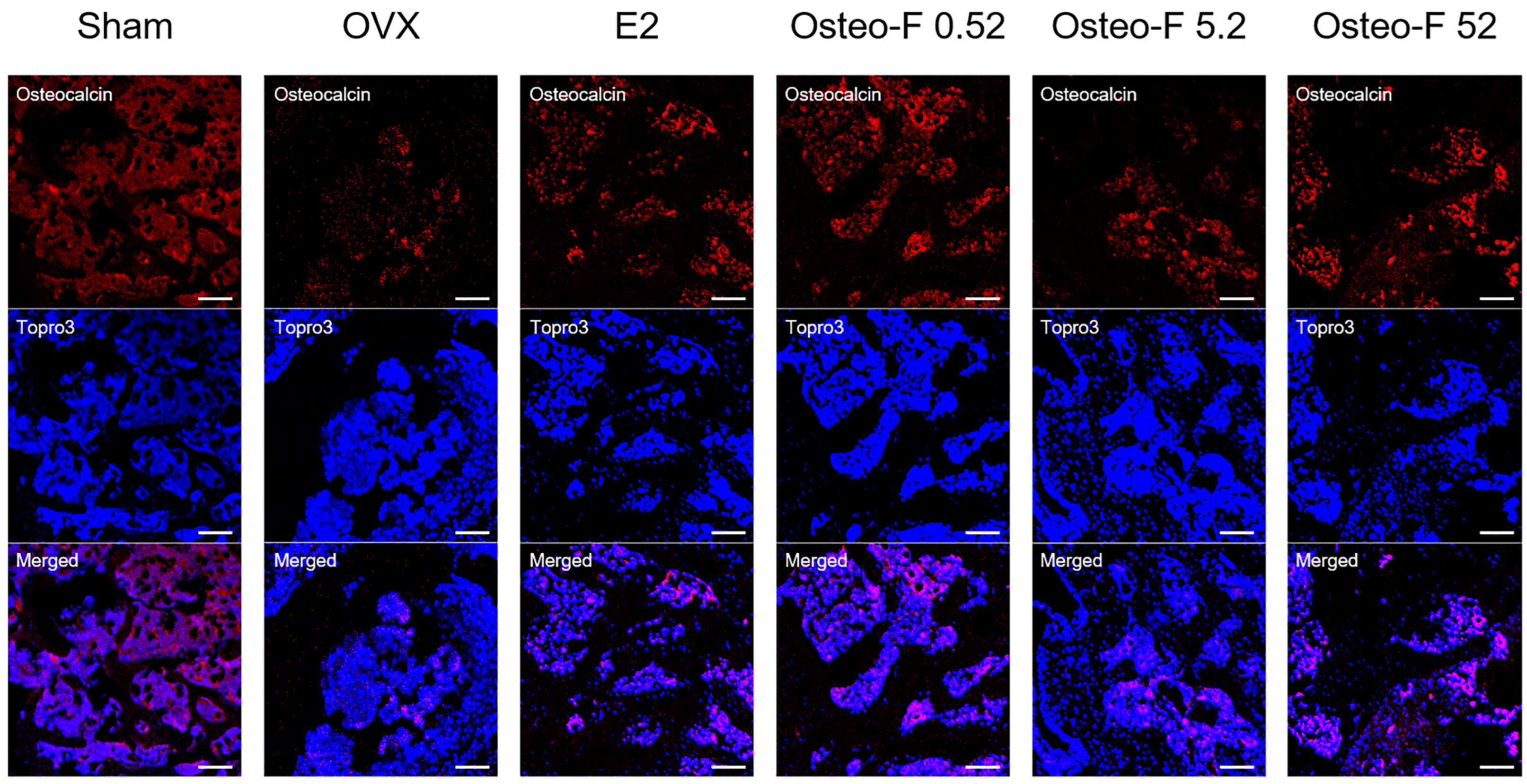 Cells 12 01992 g006 Cells 12 01992 g006