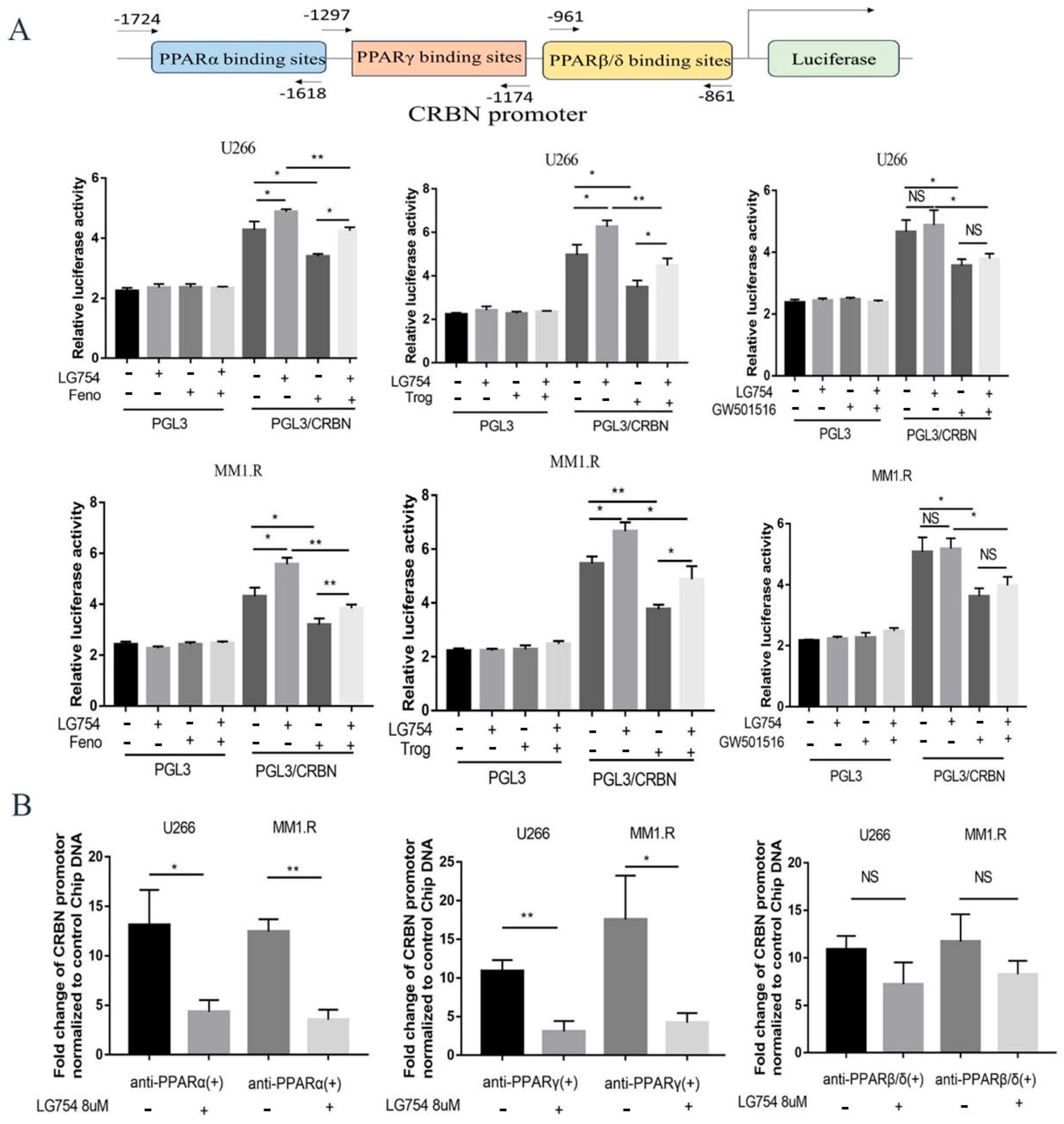 Cells 12 01993 g003 Cells 12 01993 g003