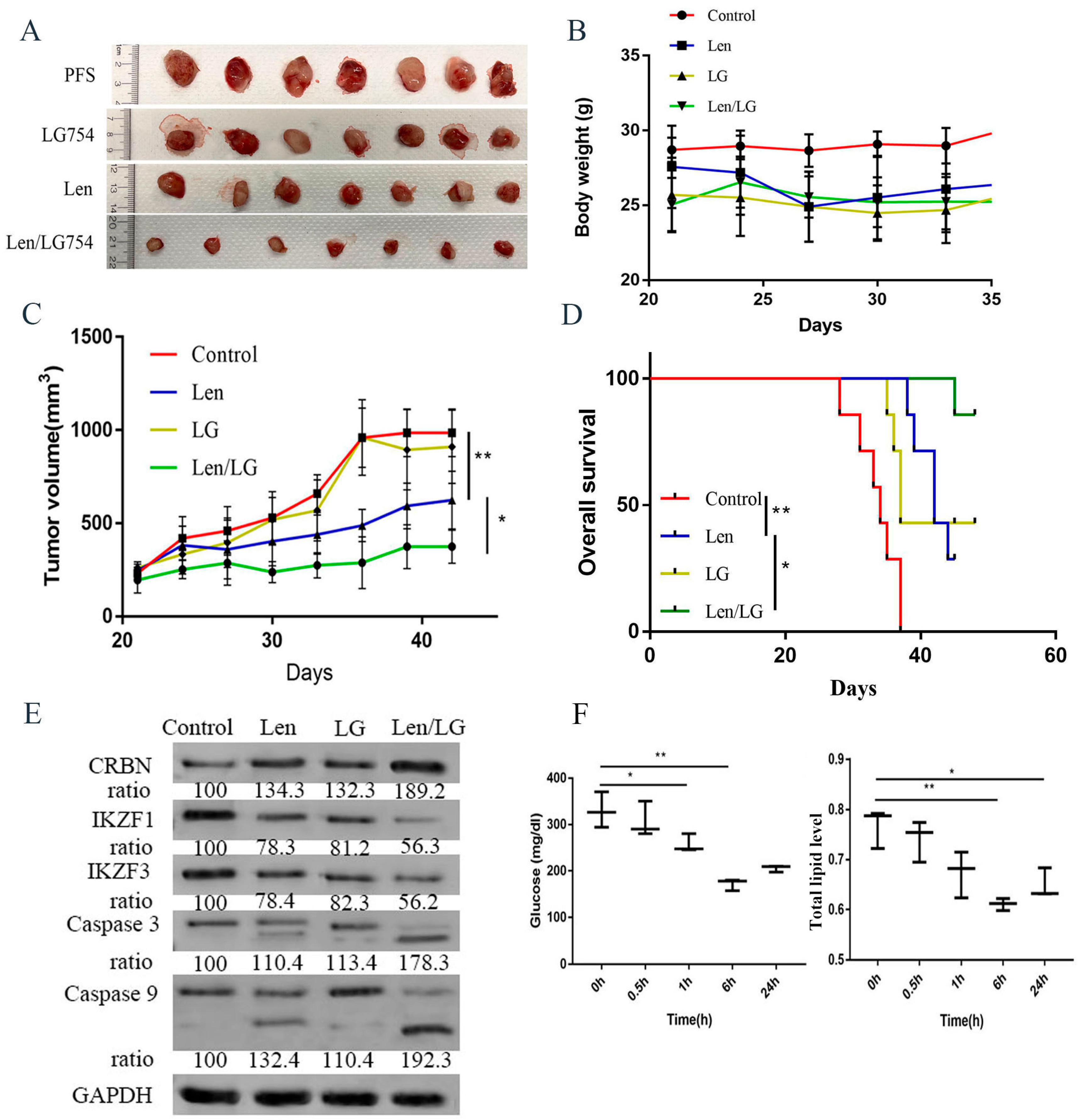 Cells 12 01993 g006 Cells 12 01993 g006