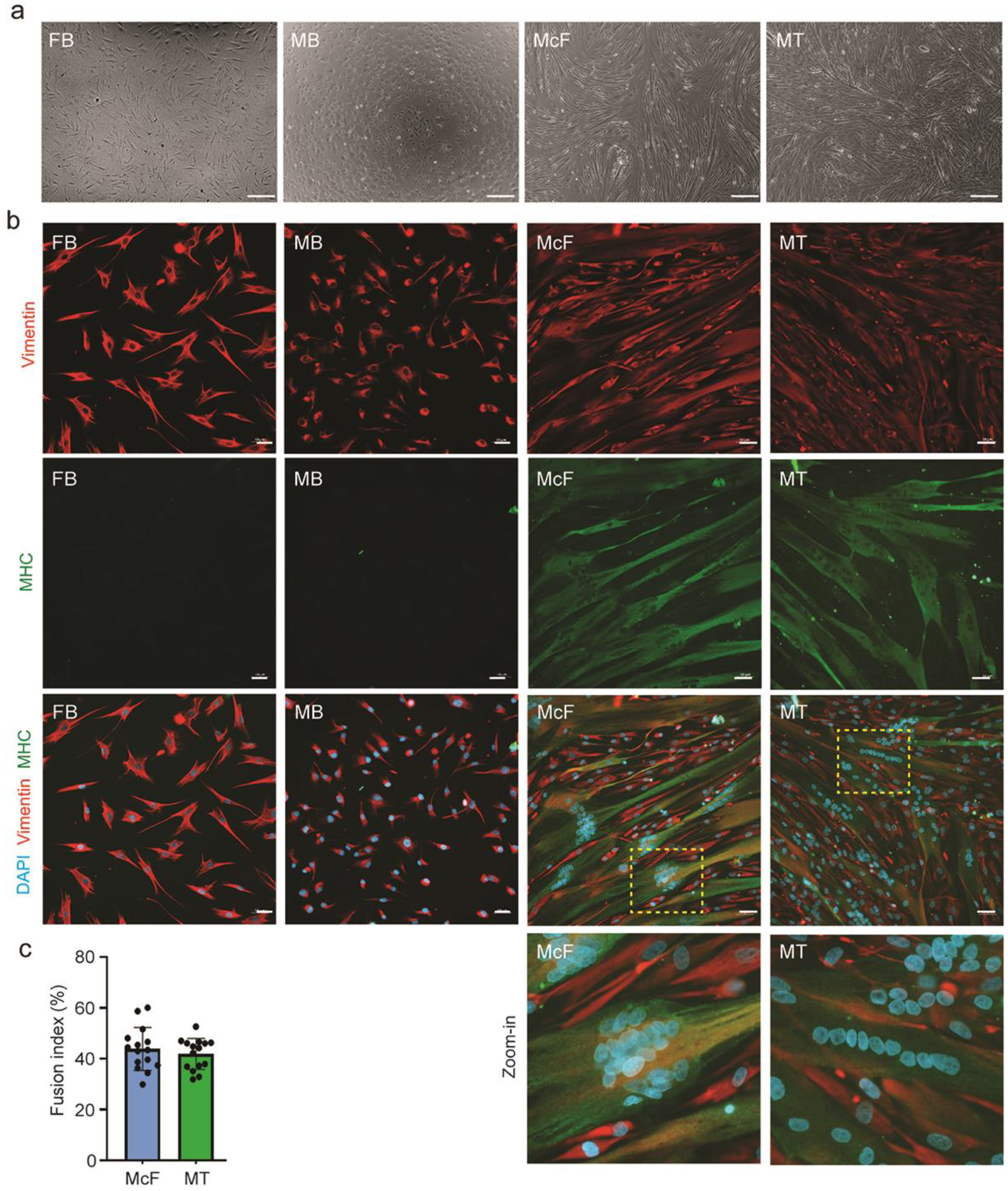Cells 12 01995 g002 Cells 12 01995 g002