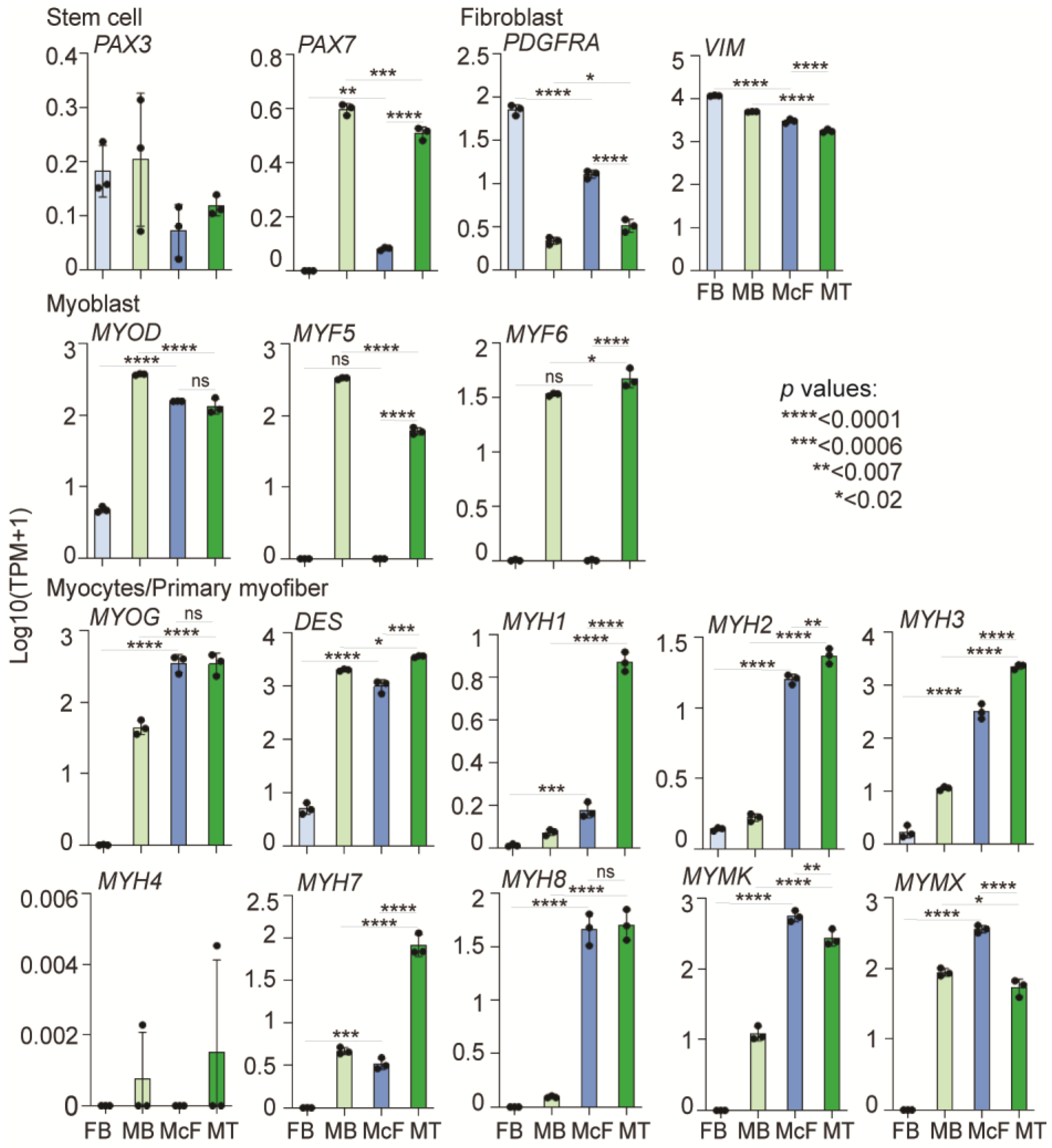 Cells 12 01995 g004 Cells 12 01995 g004