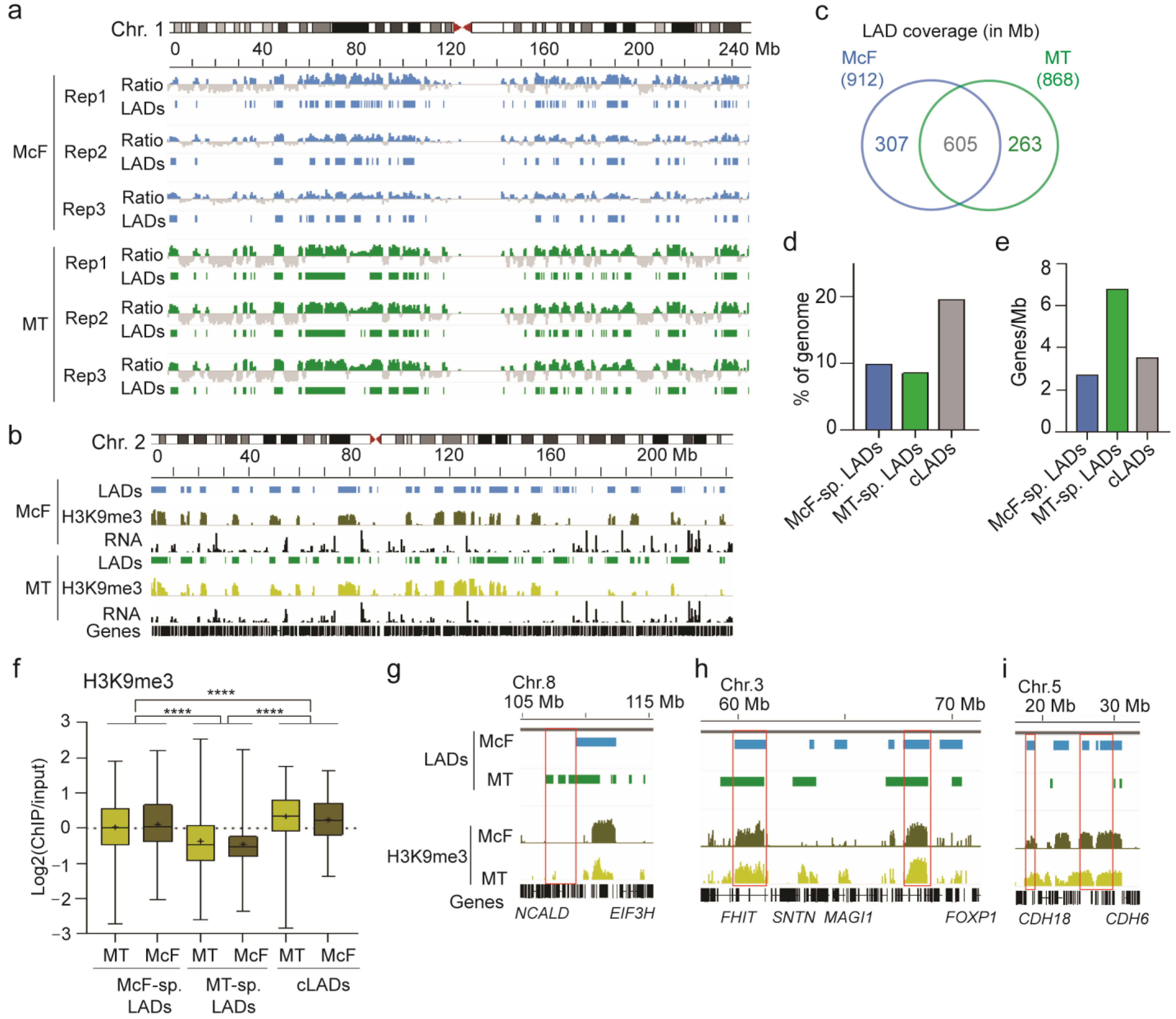 Cells 12 01995 g005 Cells 12 01995 g005