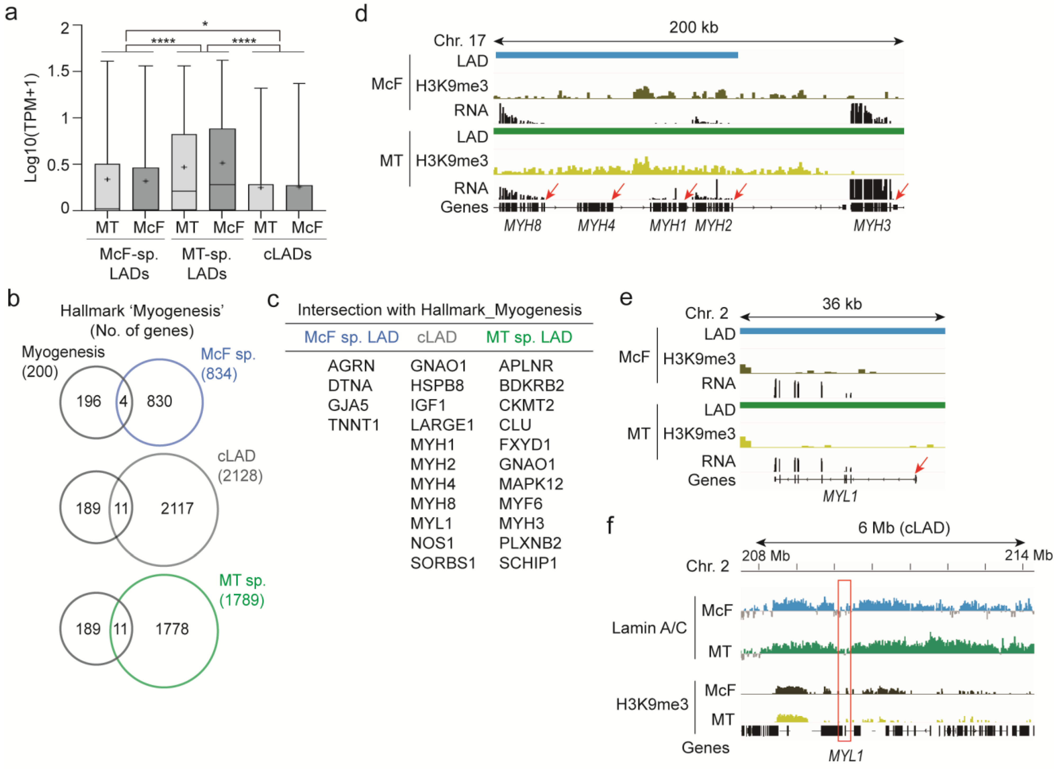 Cells 12 01995 g006 Cells 12 01995 g006