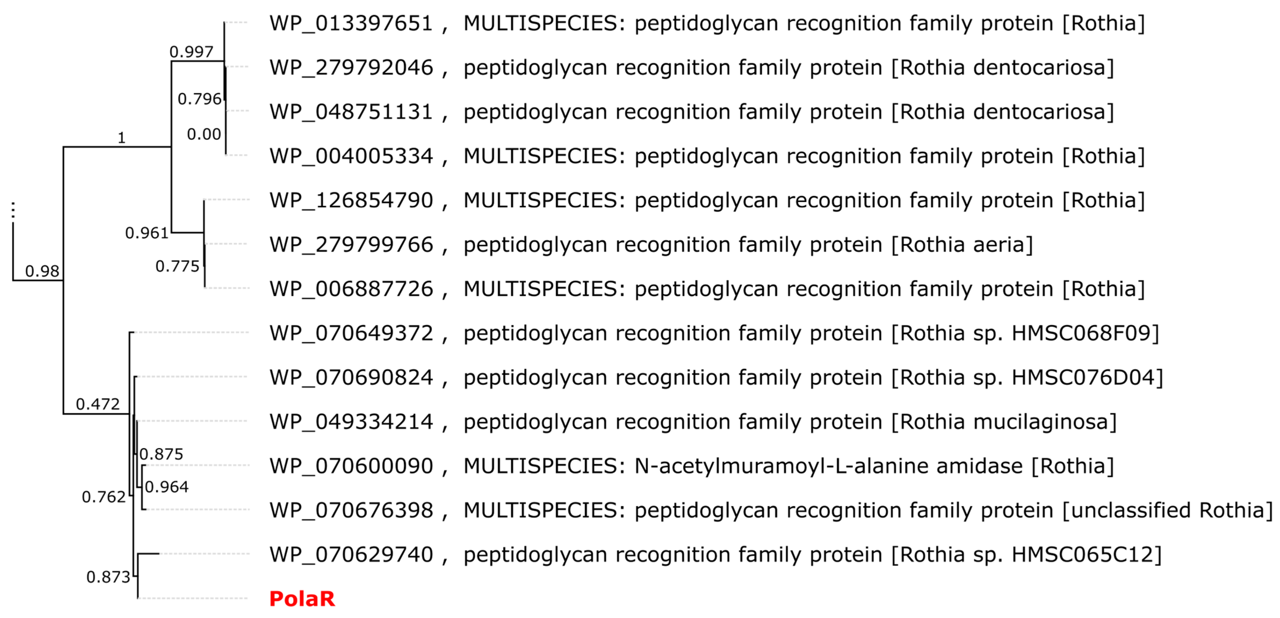 Cells 12 01997 g001 Cells 12 01997 g001