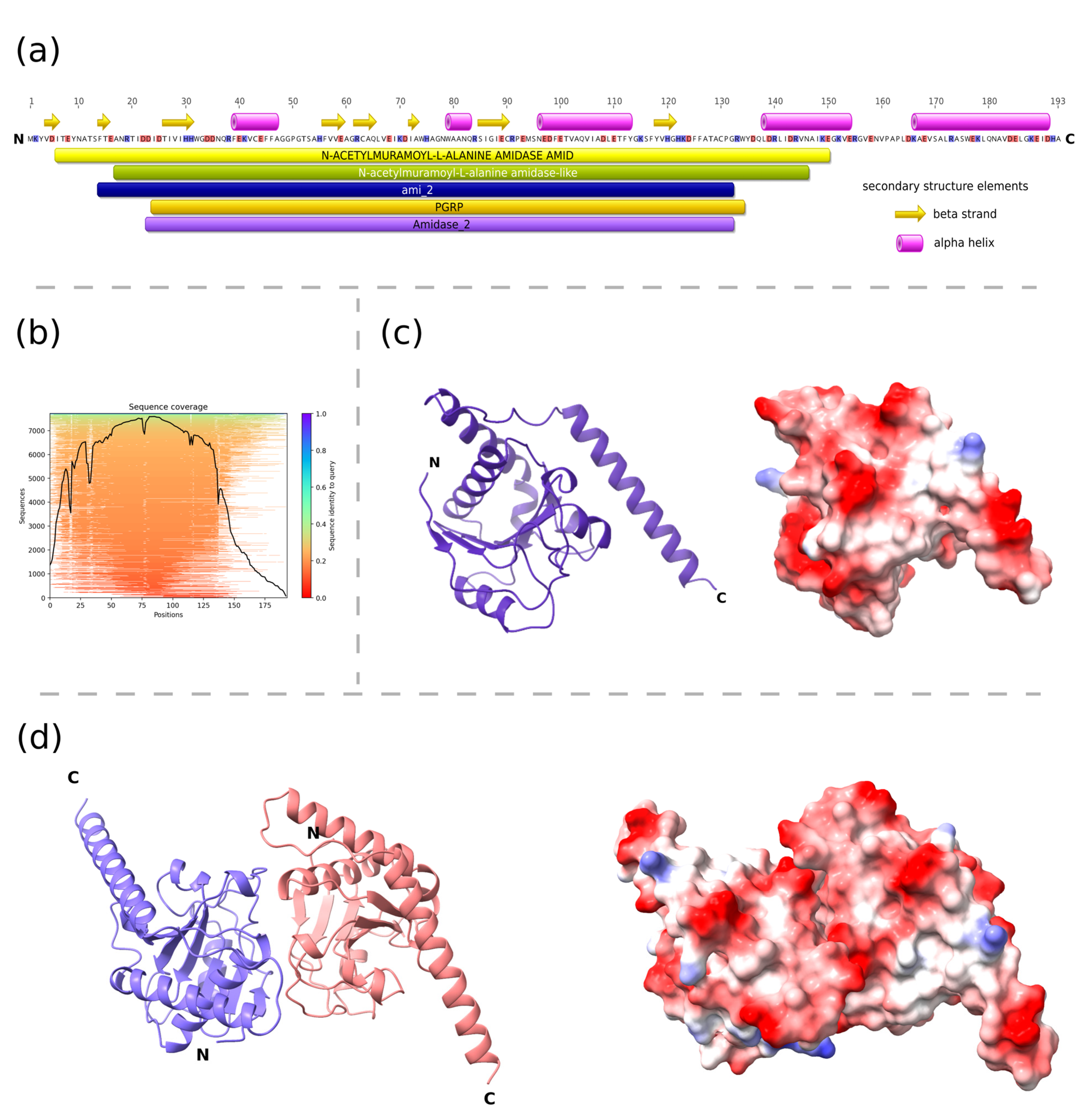 Cells 12 01997 g002 Cells 12 01997 g002