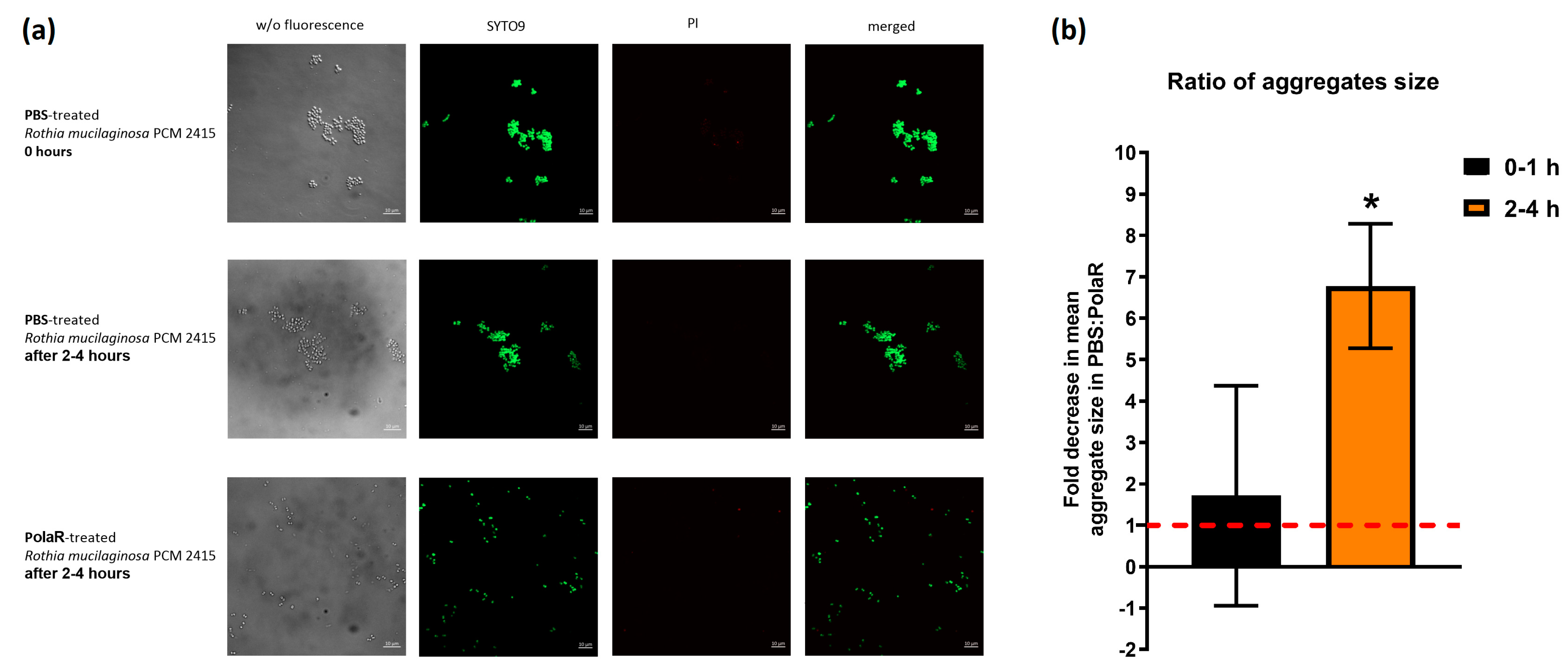 Cells 12 01997 g004 Cells 12 01997 g004