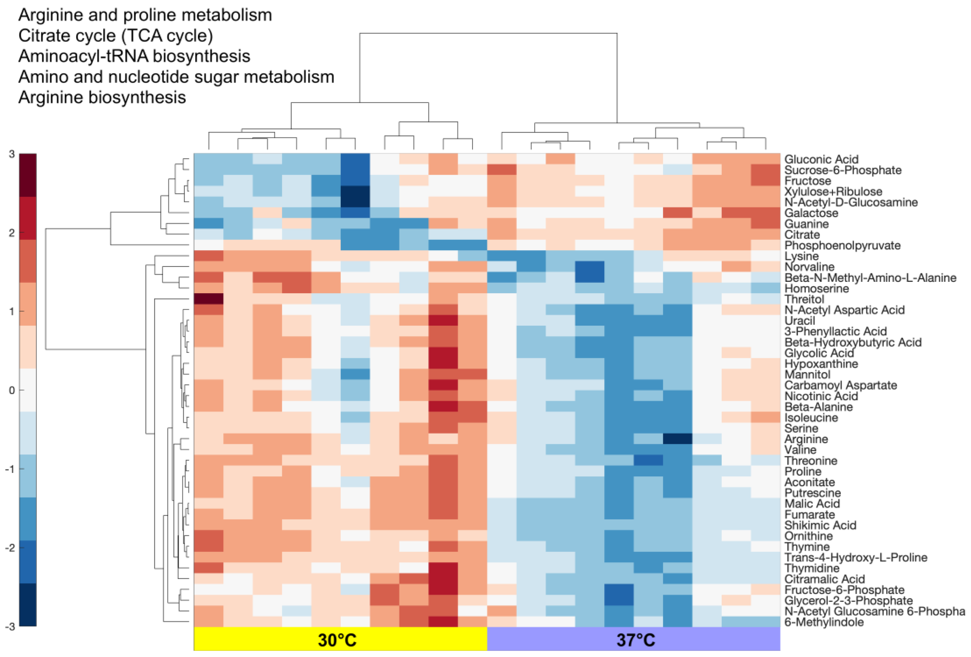 Cells 12 01998 g002 Cells 12 01998 g002
