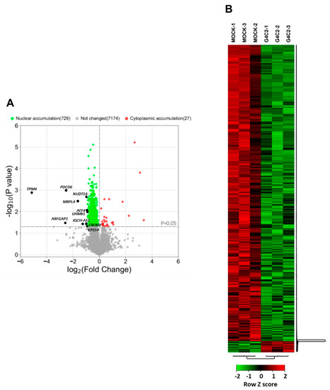 量子情報への表現論的アプローチ = Group Representation … 量子情報への表現論的アプローチ = Group Representation