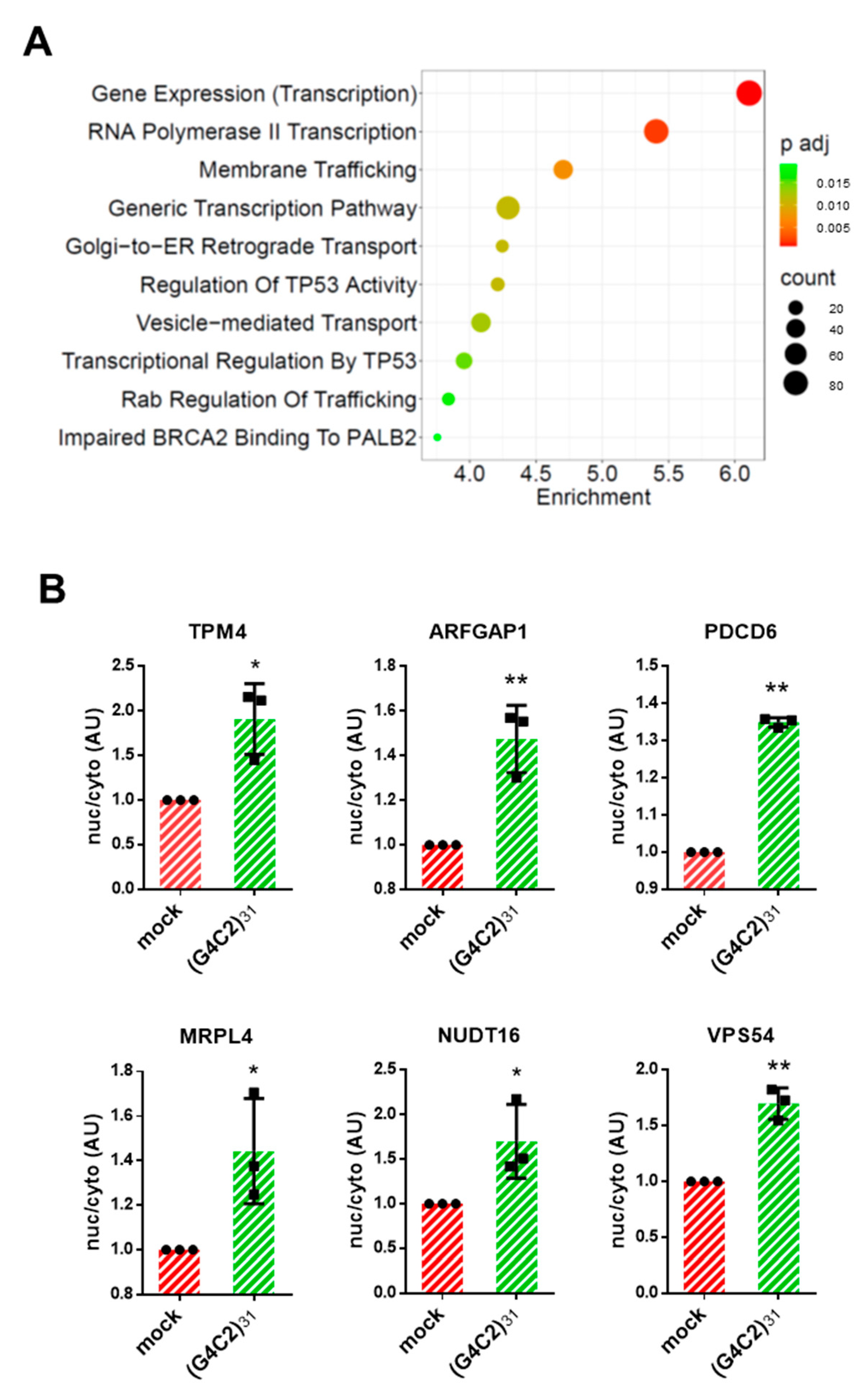 Cells 12 02007 g003 Cells 12 02007 g003