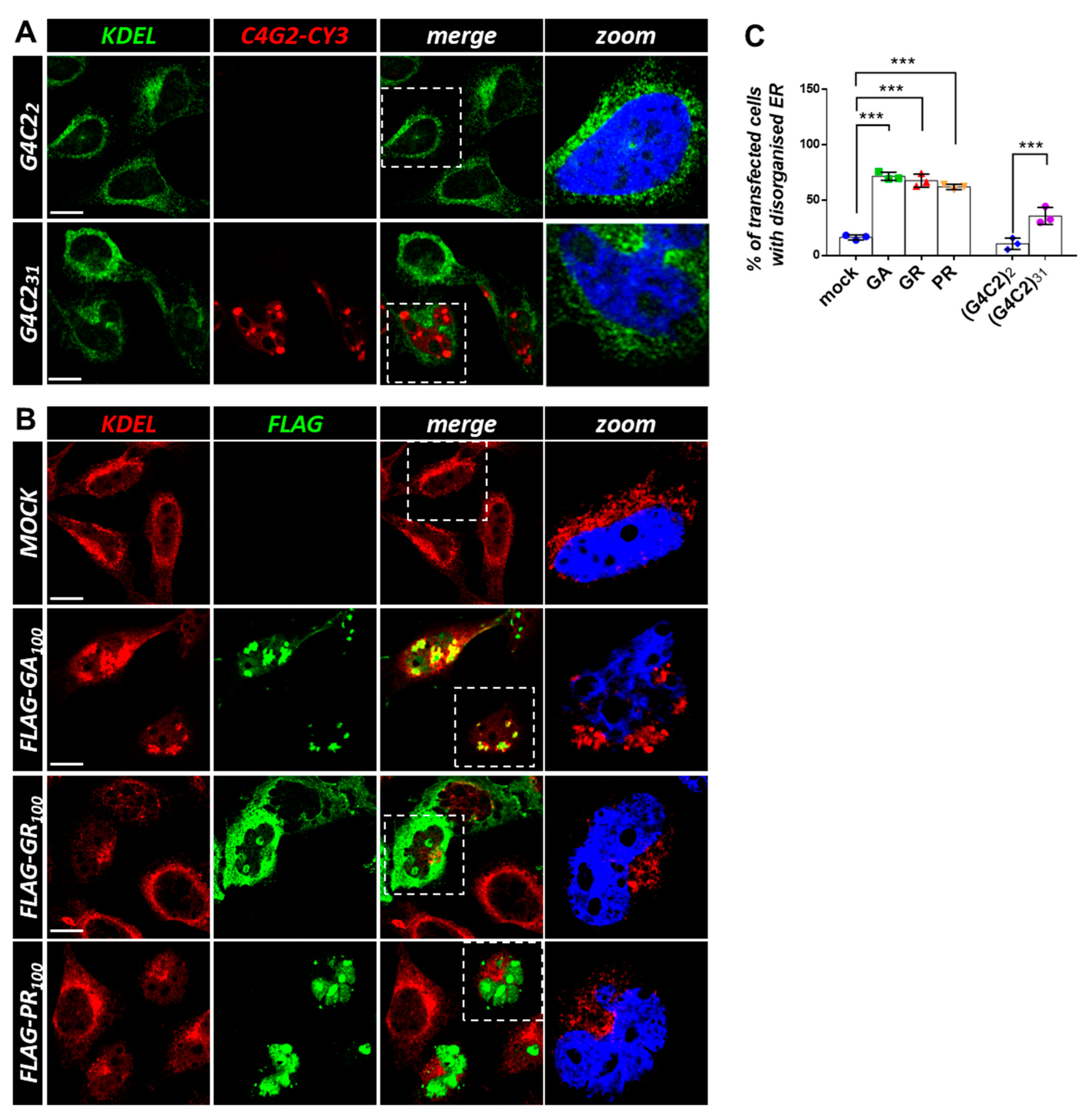 Cells 12 02007 g006 Cells 12 02007 g006