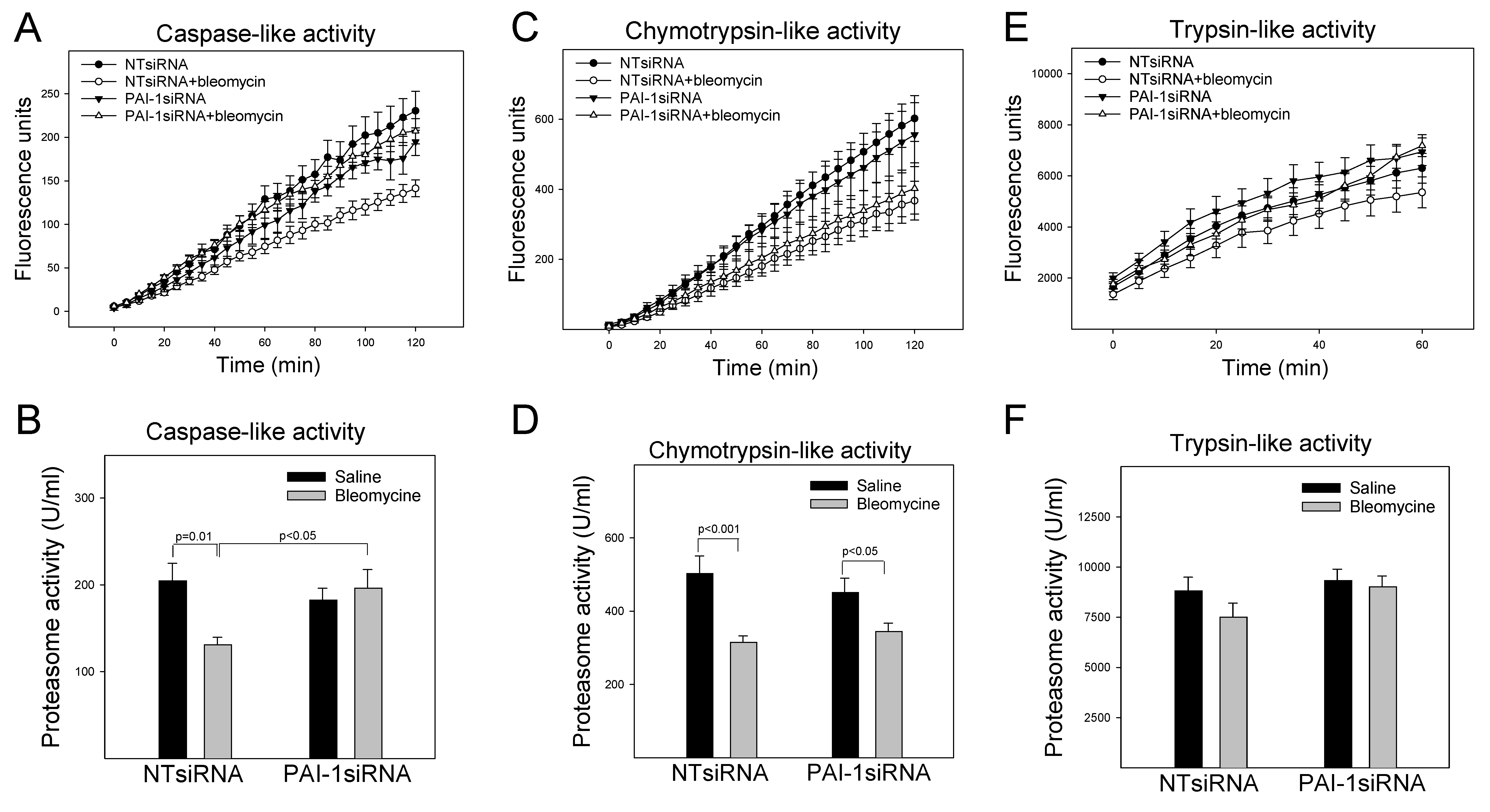 Cells 12 02008 g002a Cells 12 02008 g002a