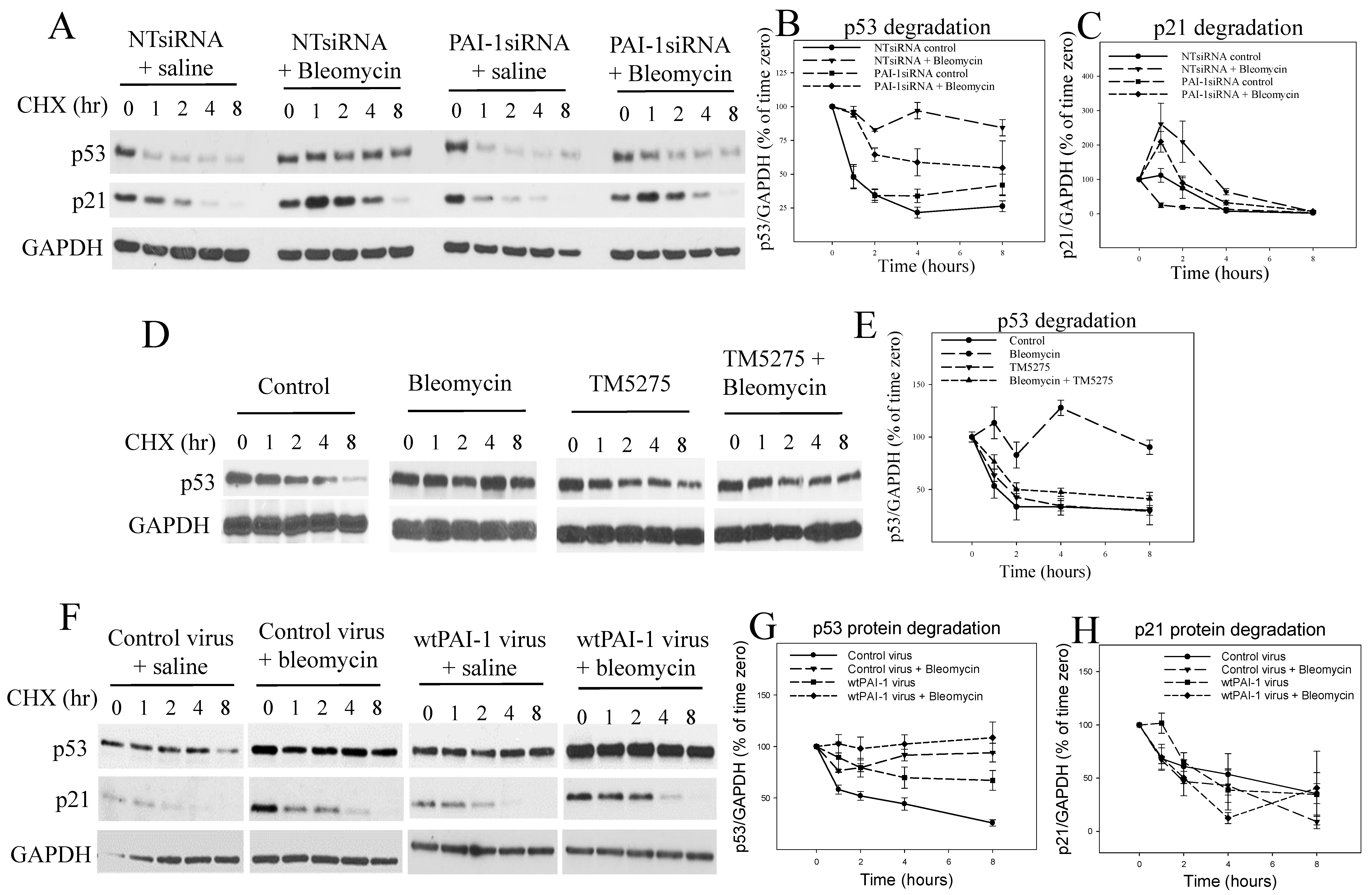 Cells 12 02008 g003 Cells 12 02008 g003