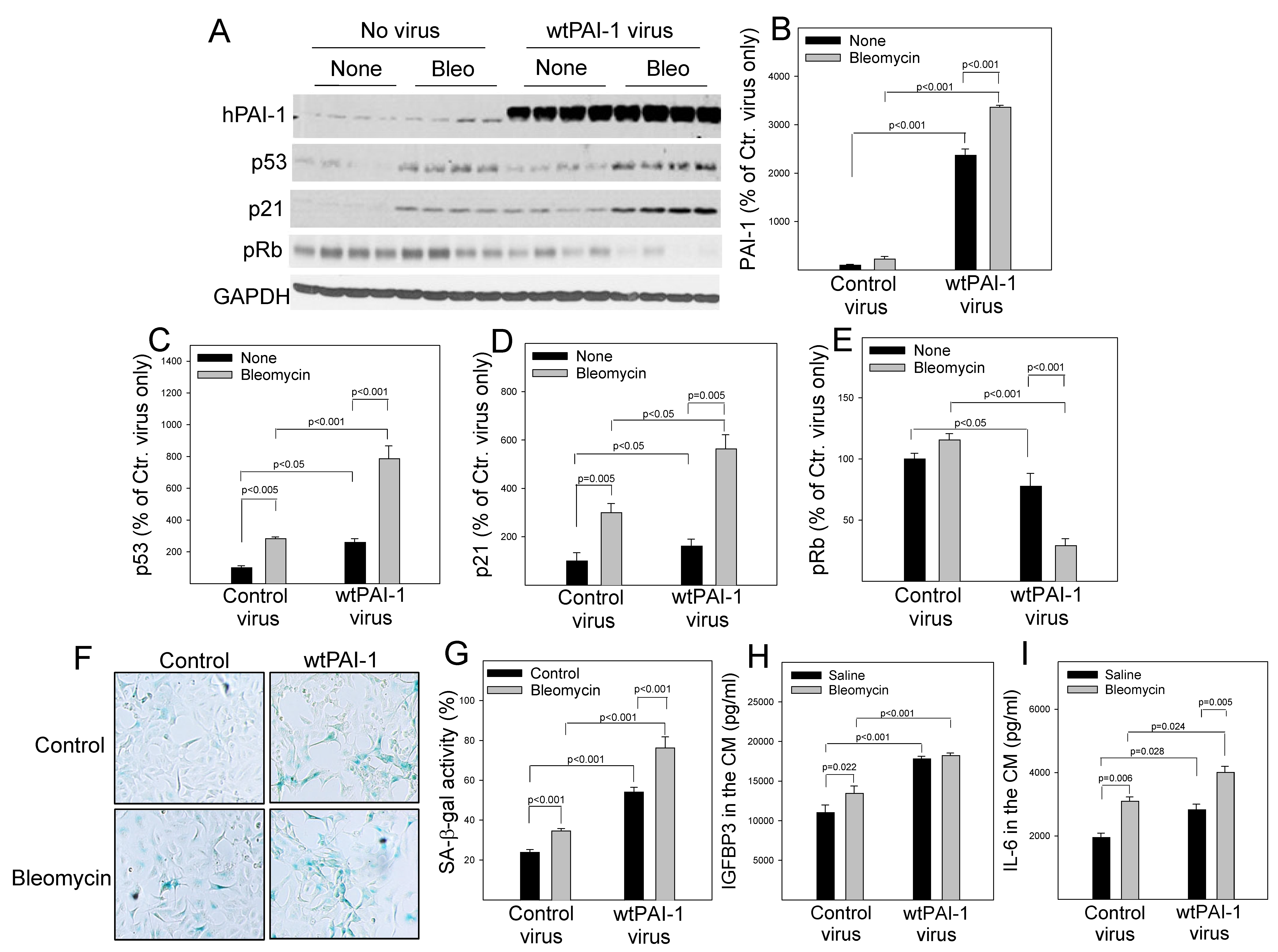 Cells 12 02008 g005 Cells 12 02008 g005