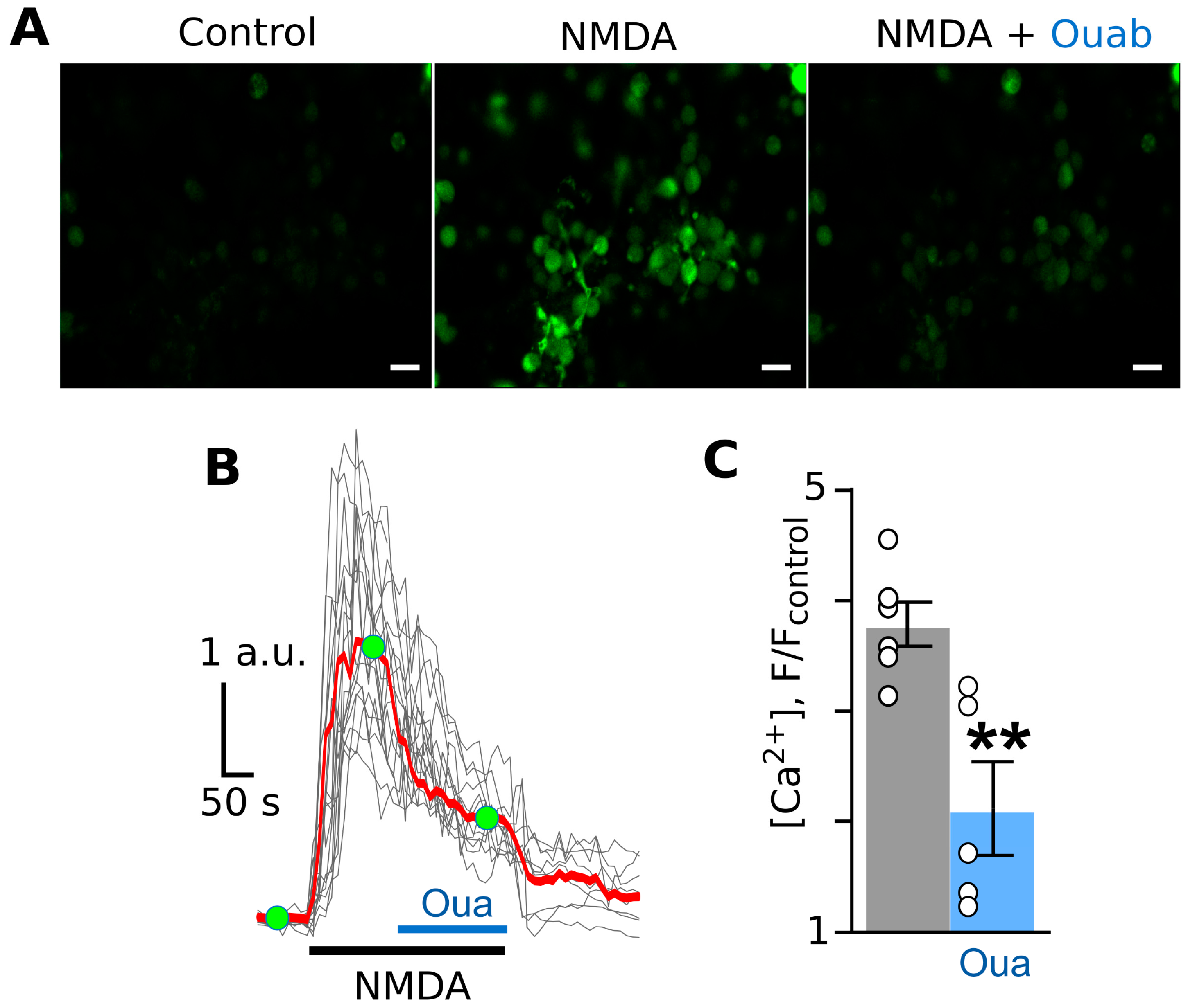 Cells 12 02011 g001 Cells 12 02011 g001